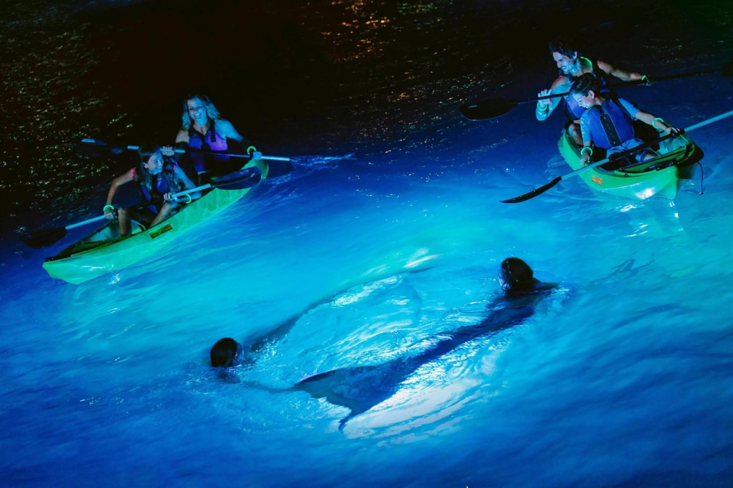 Other in Marriott's Frenchman's Cove