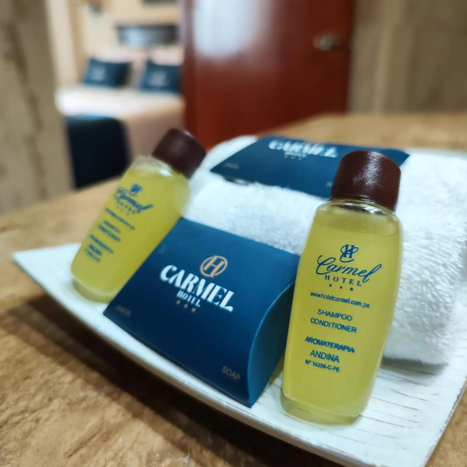 Logo/Certificate/Sign in Hotel Carmel