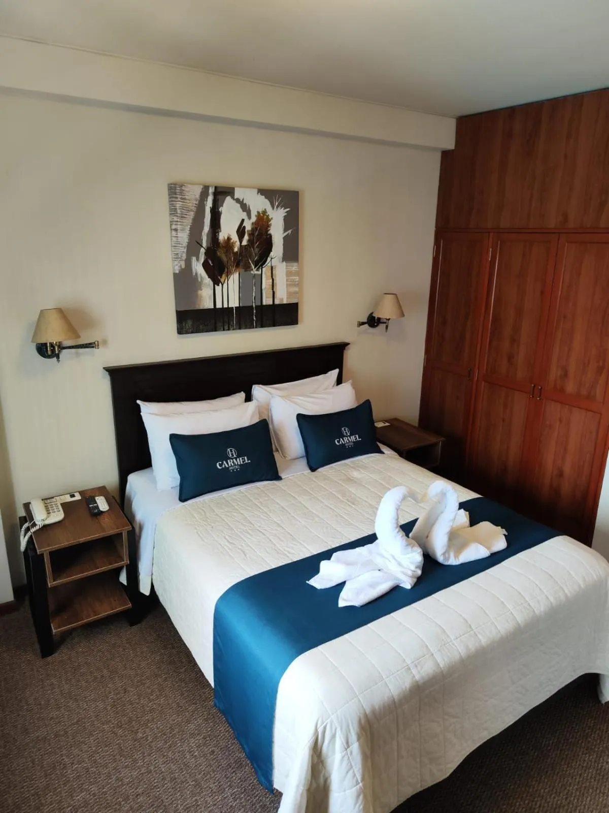 Photo of the whole room, Bed in Hotel Carmel