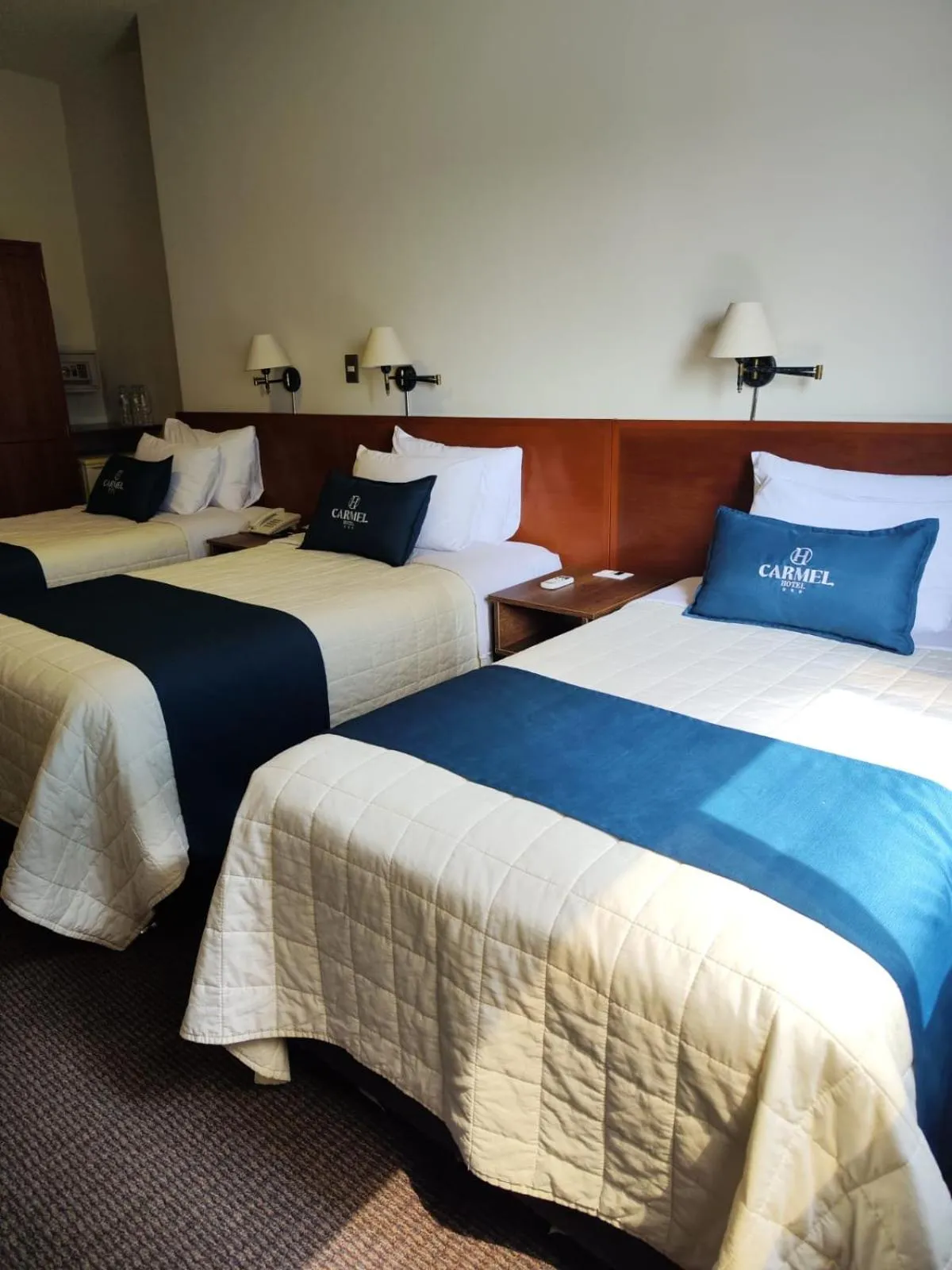 Photo of the whole room, Bed in Hotel Carmel