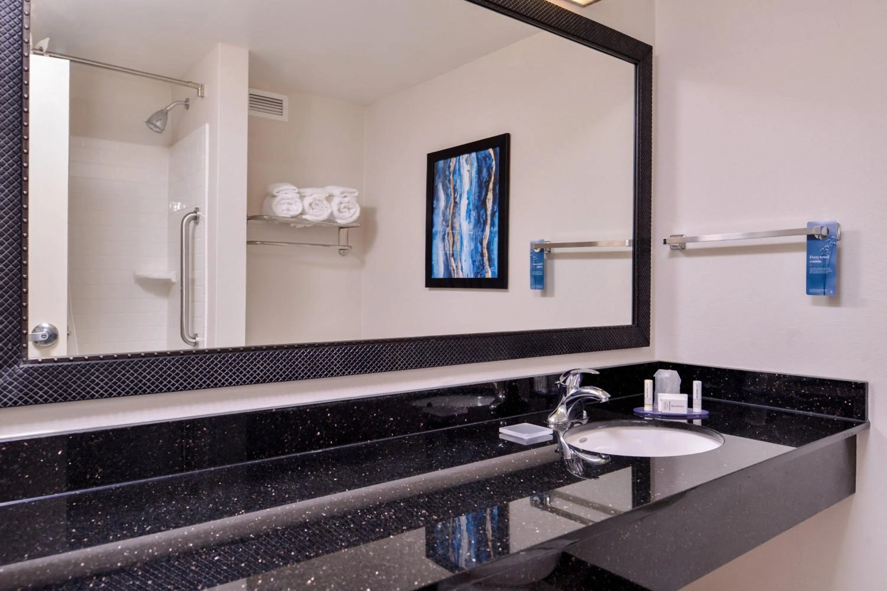 Bathroom in Fairfield Inn & Suites Raleigh-Durham Airport/Brier Creek