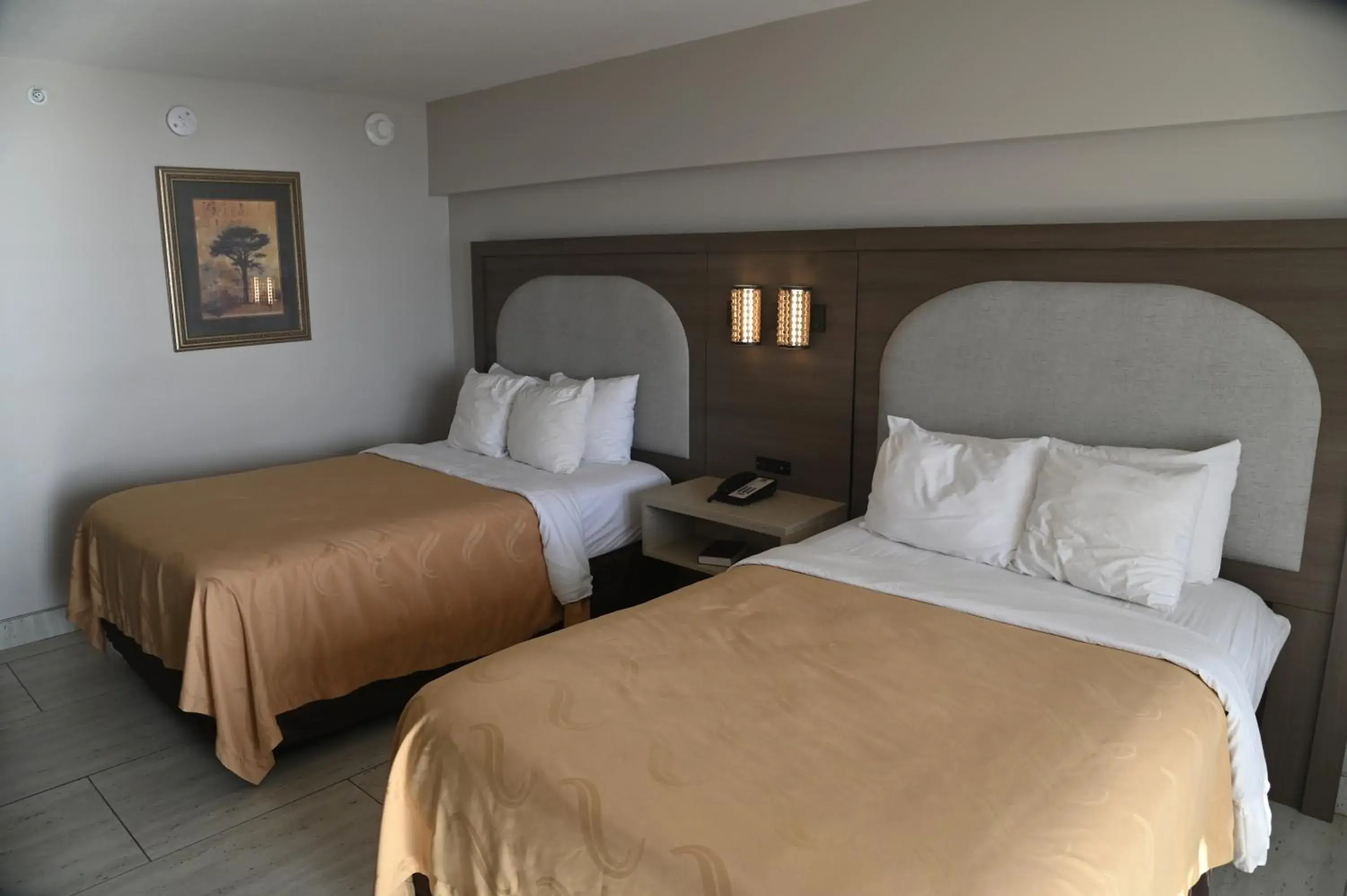 Bedroom, Bed in Quality Inn & Suites Oceanfront Bedroom, Bed in Quality Inn & Suites Oceanfront