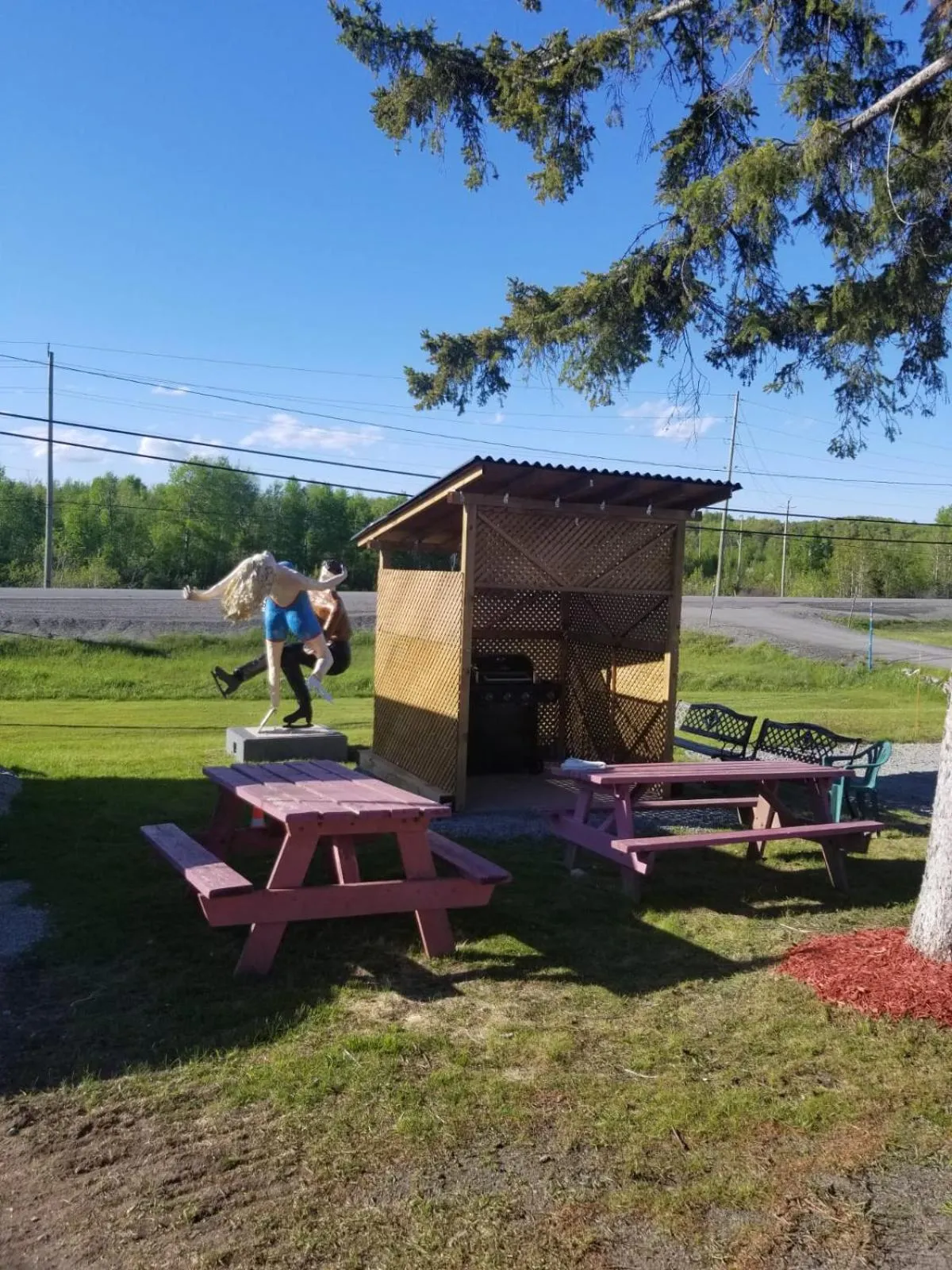 BBQ facilities in Norvic Motel