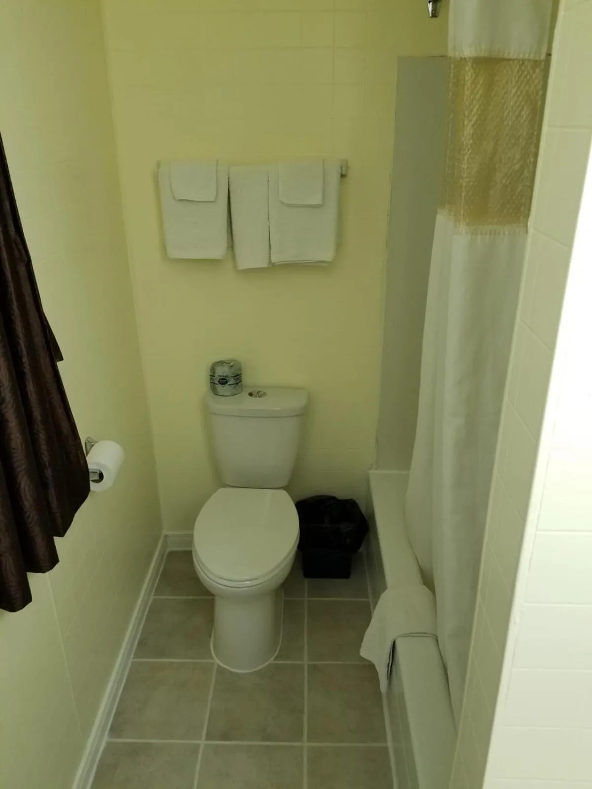 Toilet in Norvic Motel