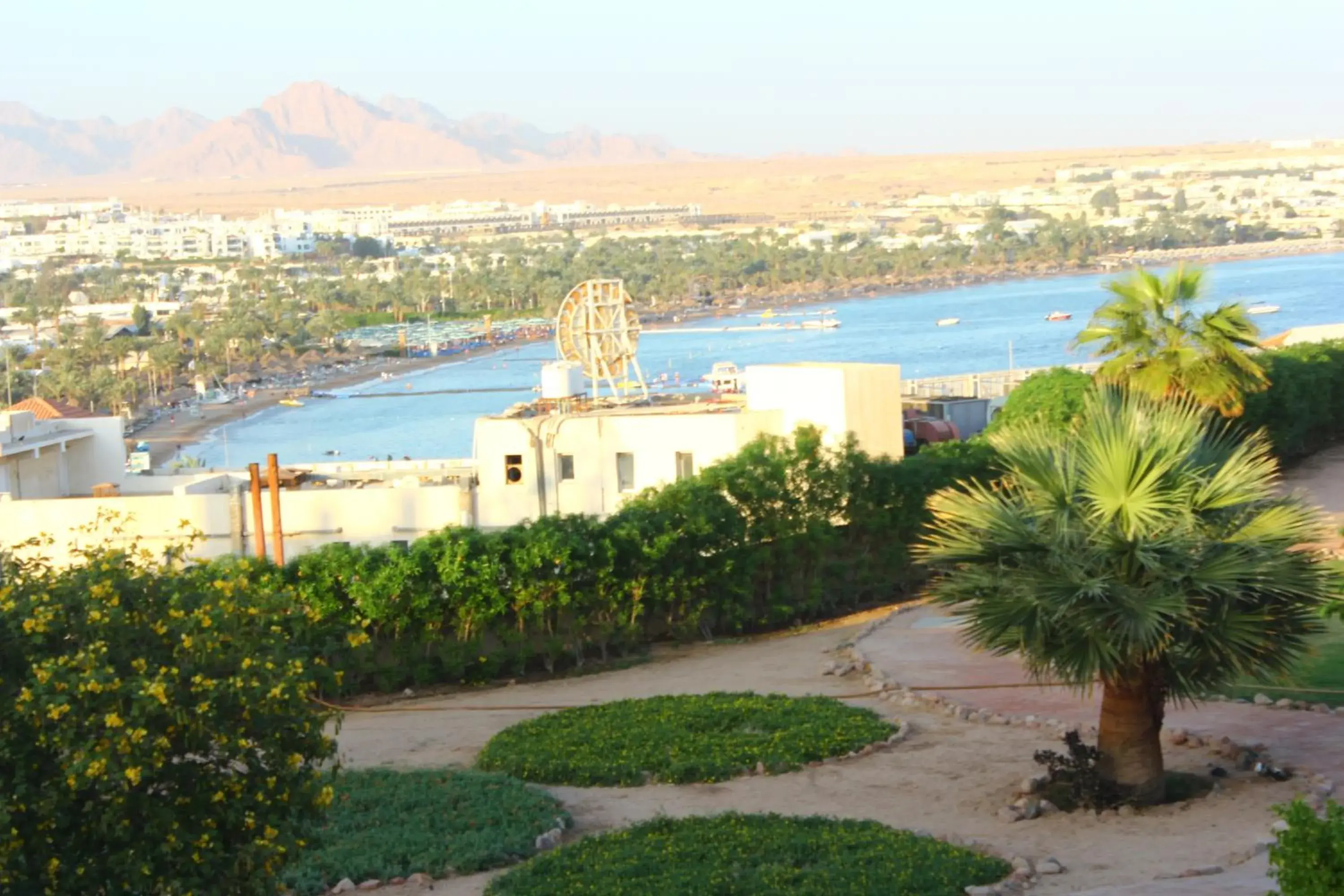 View (from property/room) in Eden Rock Hotel Namaa Bay