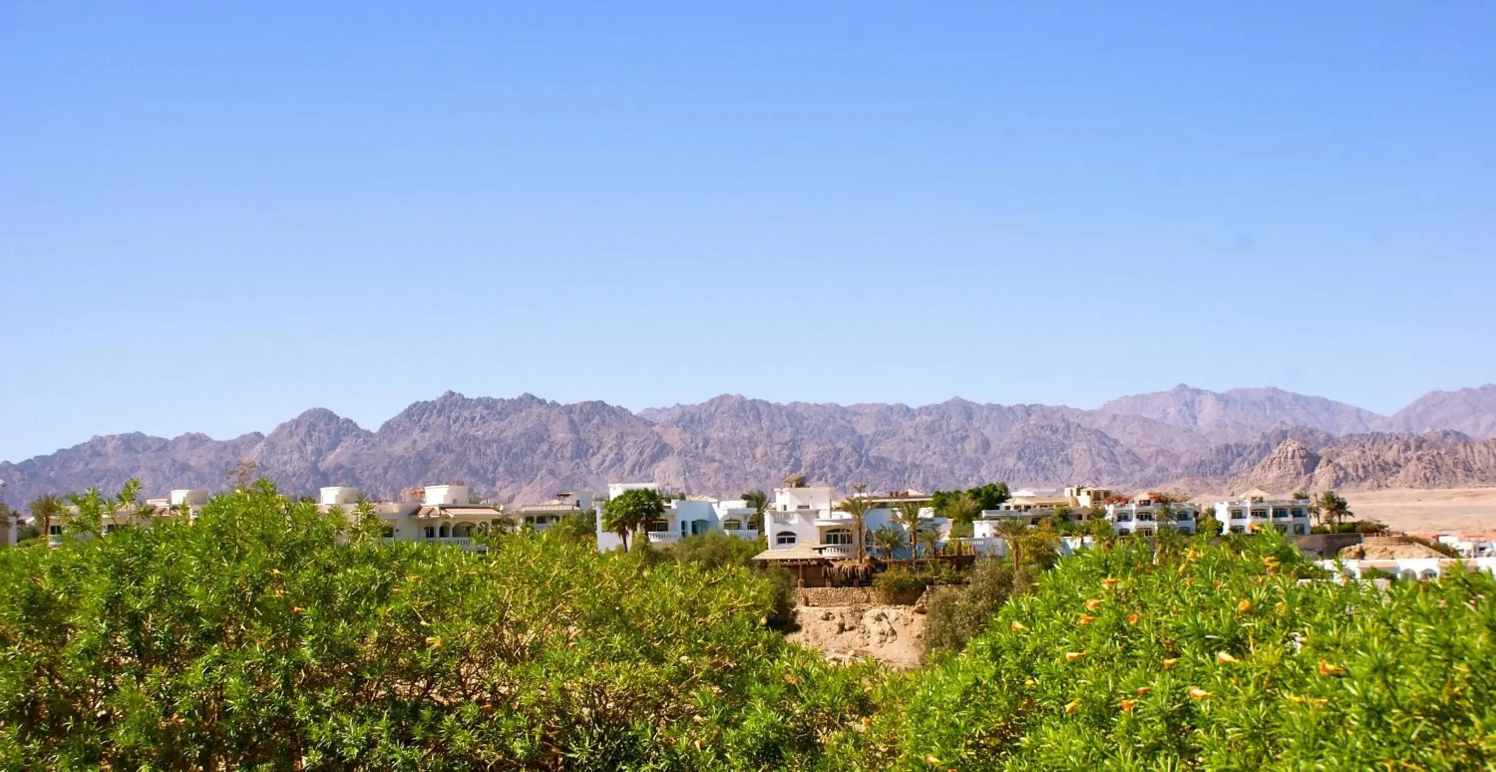 Bird's eye view in Eden Rock Hotel Namaa Bay