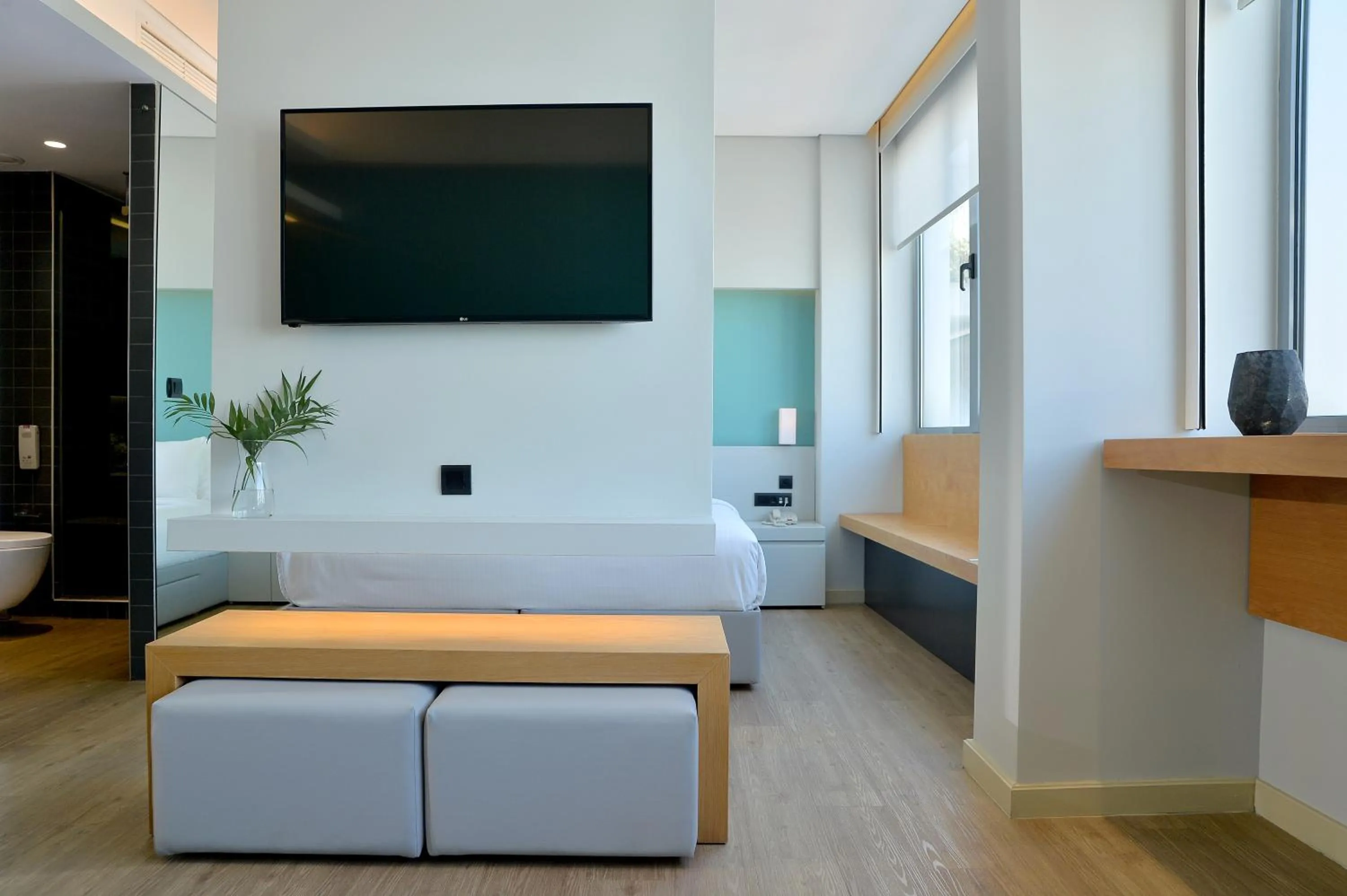 TV and multimedia in Athenaeum K 29