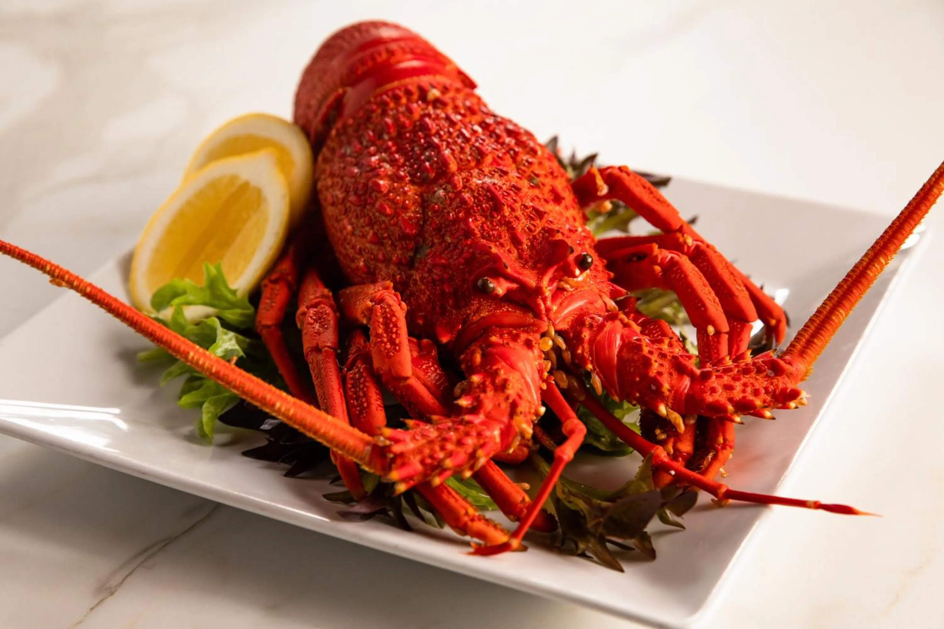 Restaurant/places to eat in Seahorse Inn Hotel & Villas