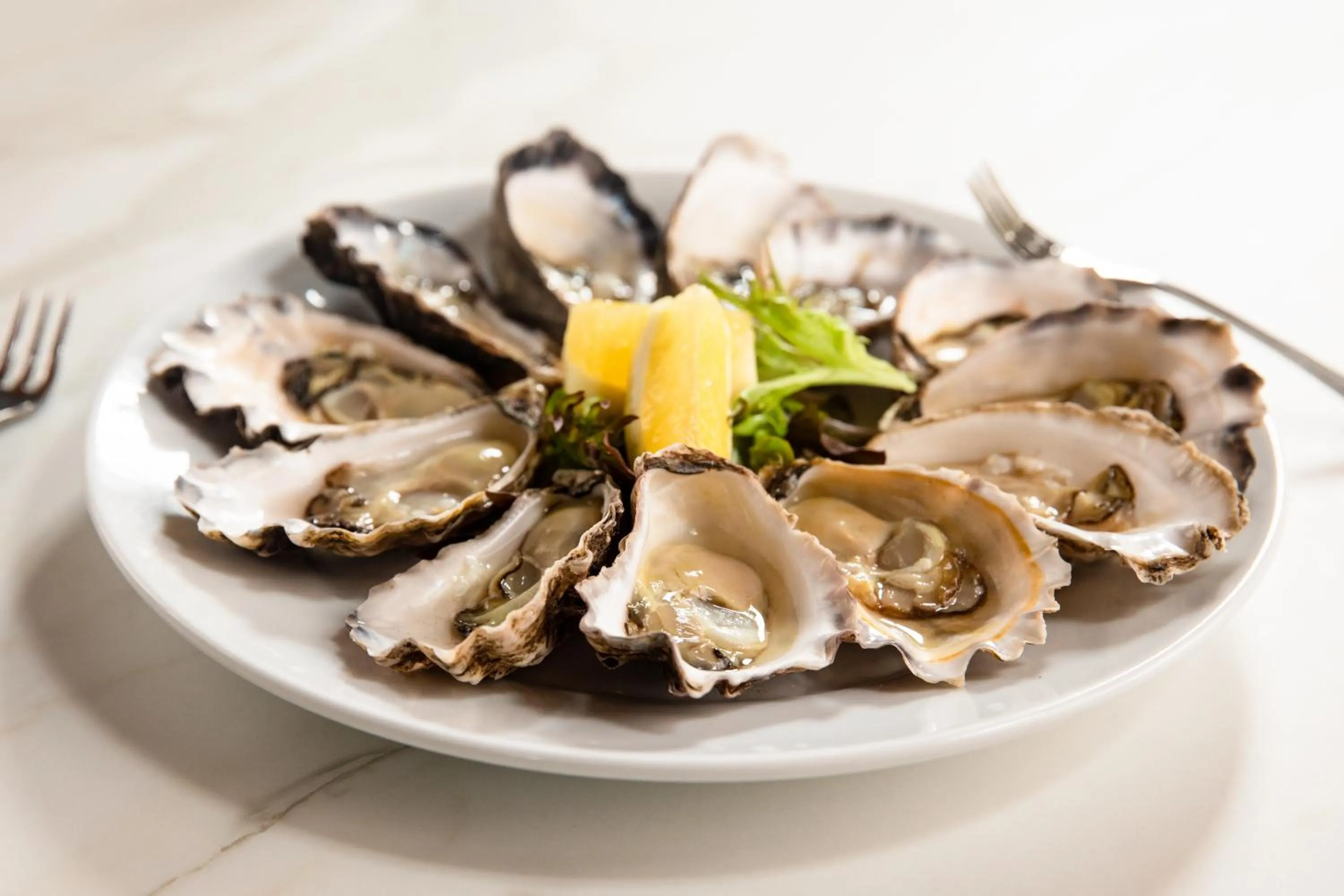 Restaurant/places to eat in Seahorse Inn Hotel & Villas