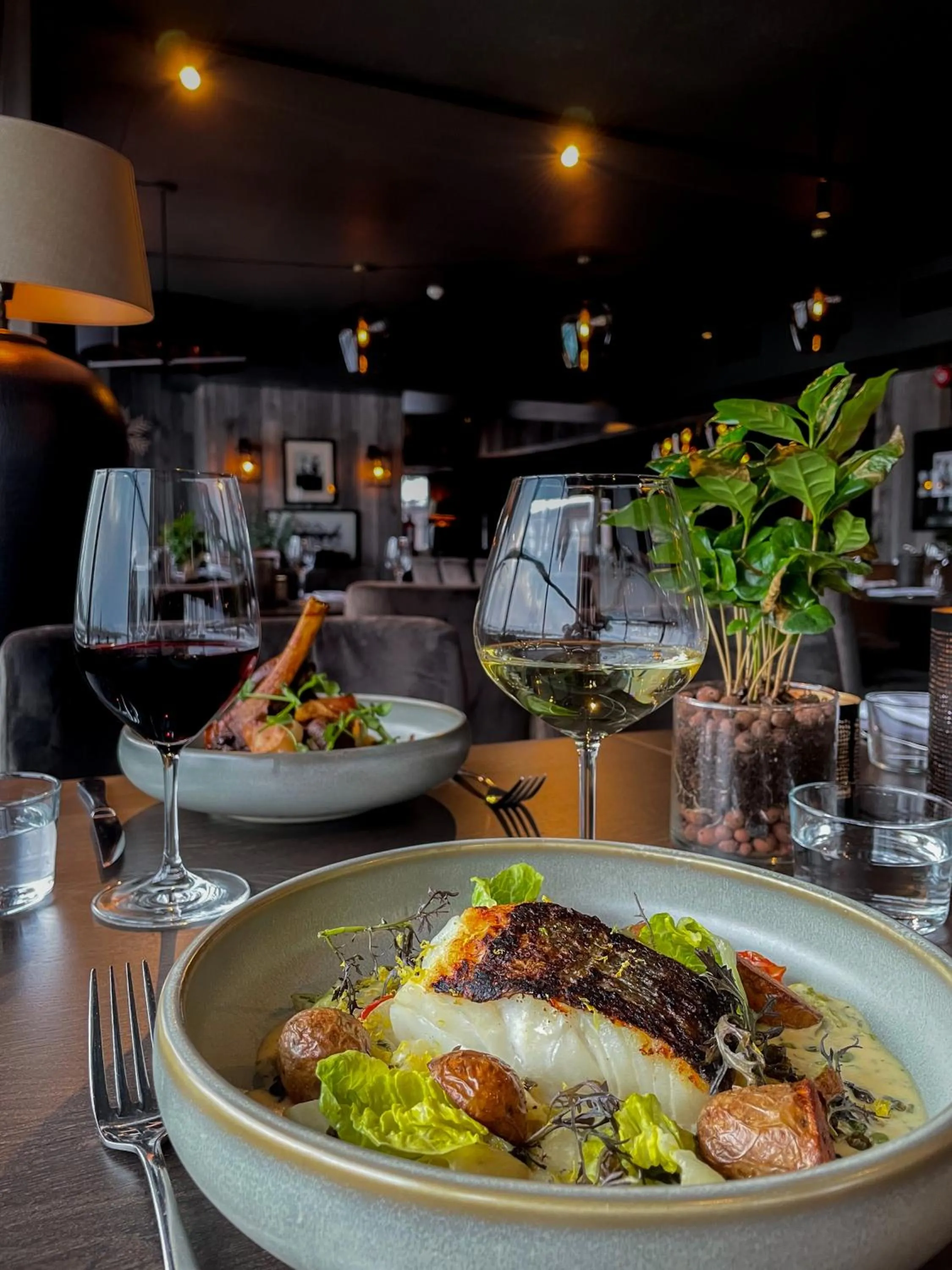 Restaurant/places to eat in Hovdestøylen