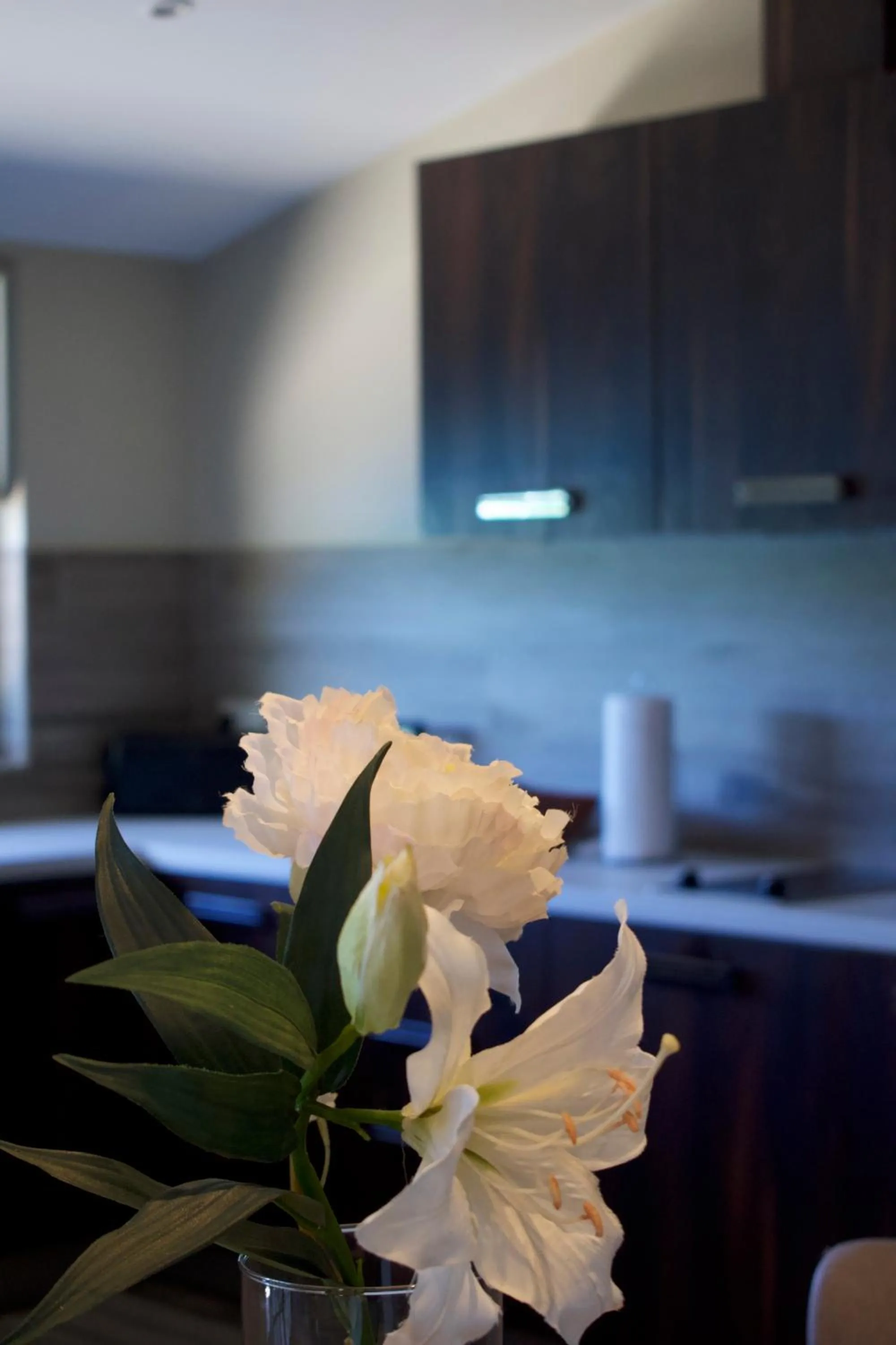 Kitchen or kitchenette in Secret Harbour Boutique Hotel and Marina