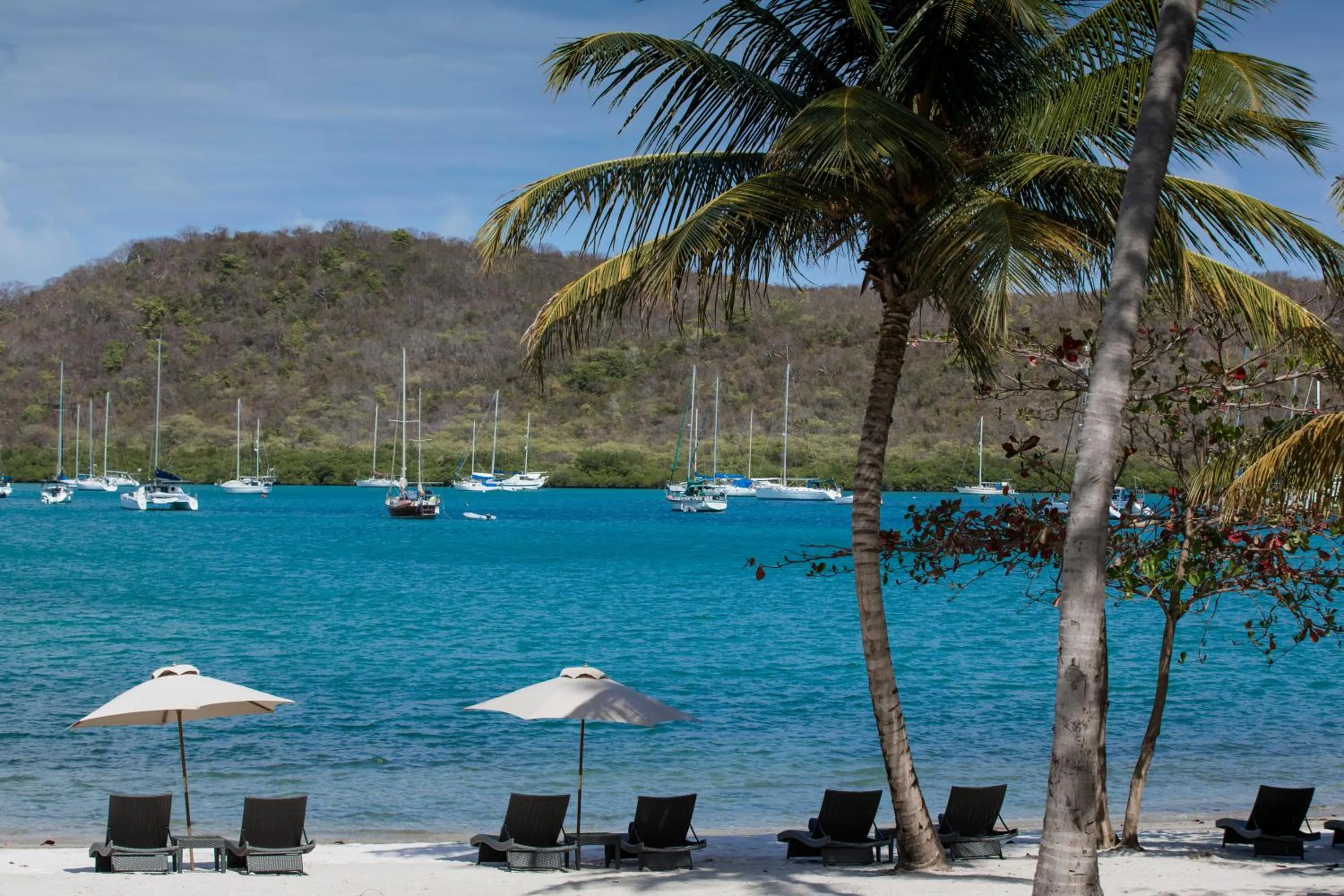 Beach in Secret Harbour Boutique Hotel and Marina