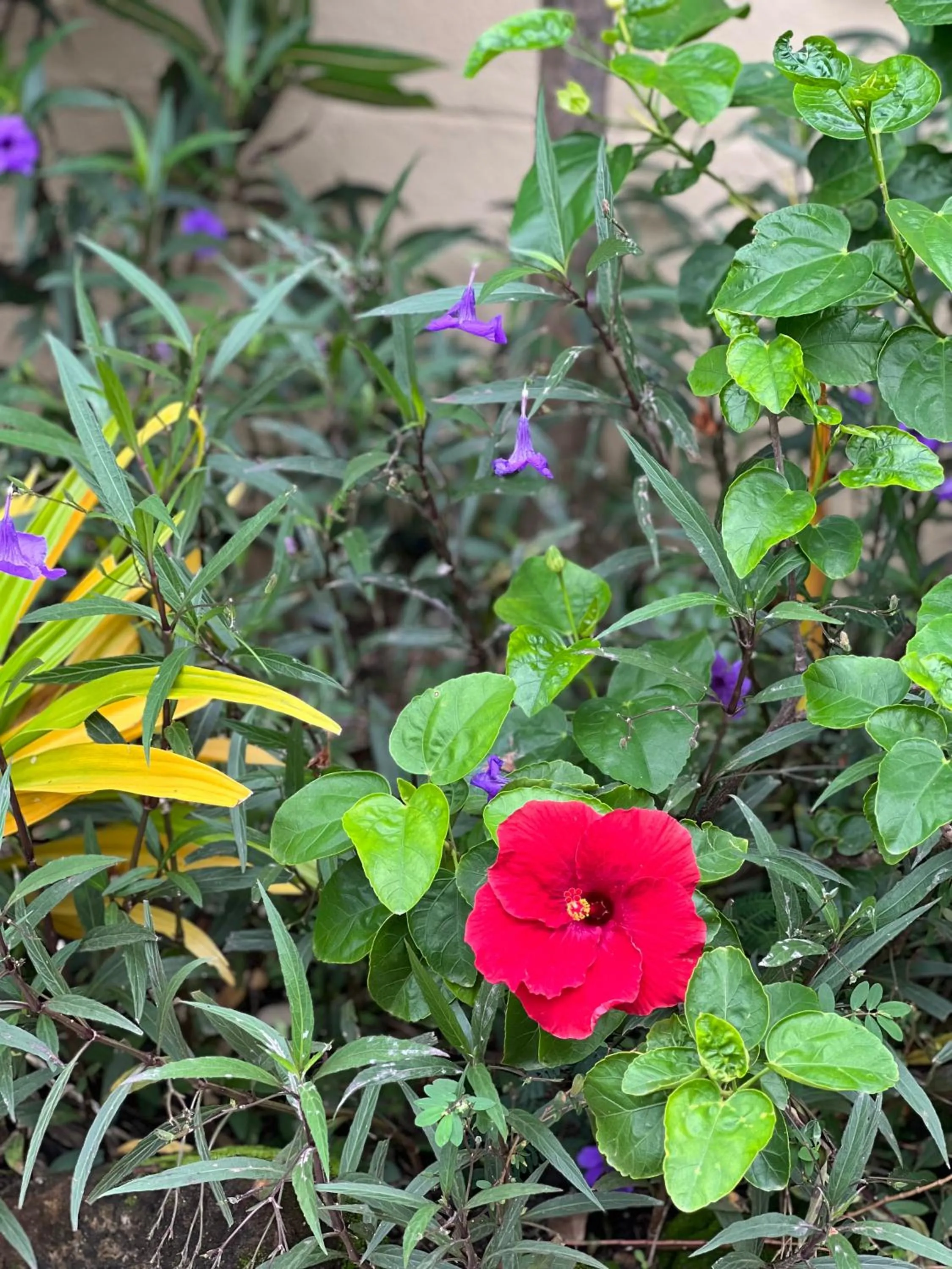 Natural landscape in Secret Harbour Boutique Hotel and Marina