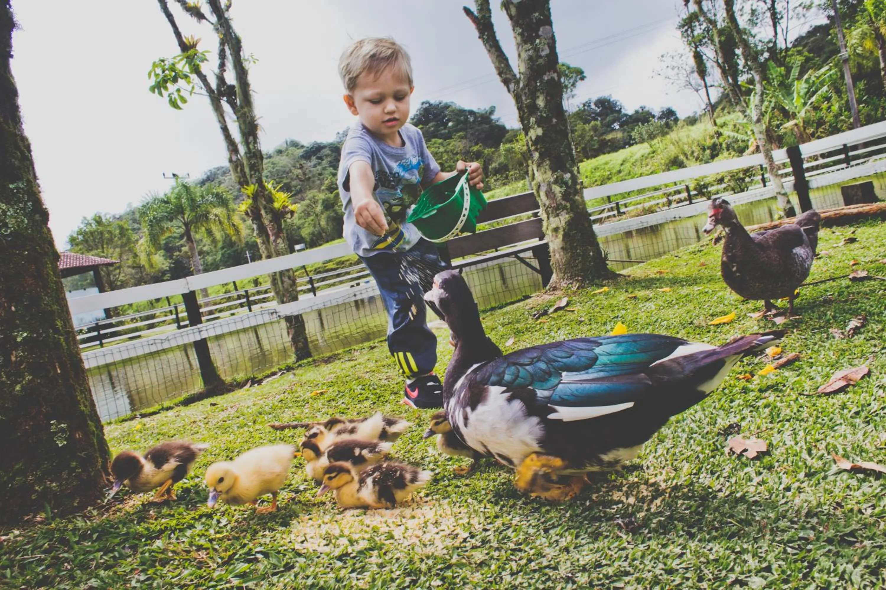 Property building in Hotel Fazenda Dona Francisca