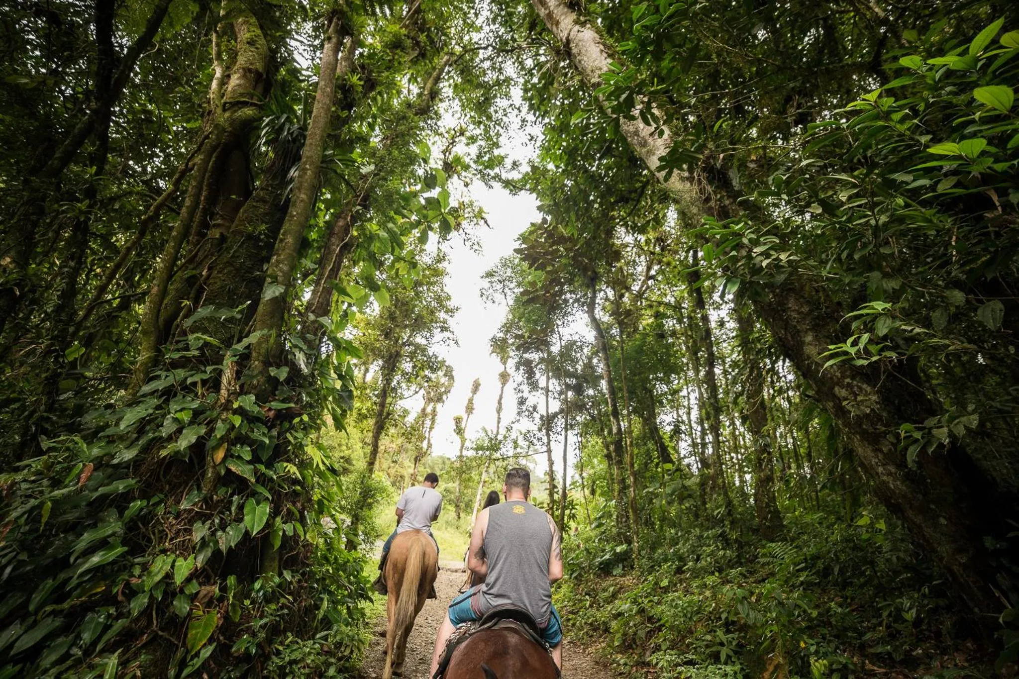 Property building in Hotel Fazenda Dona Francisca