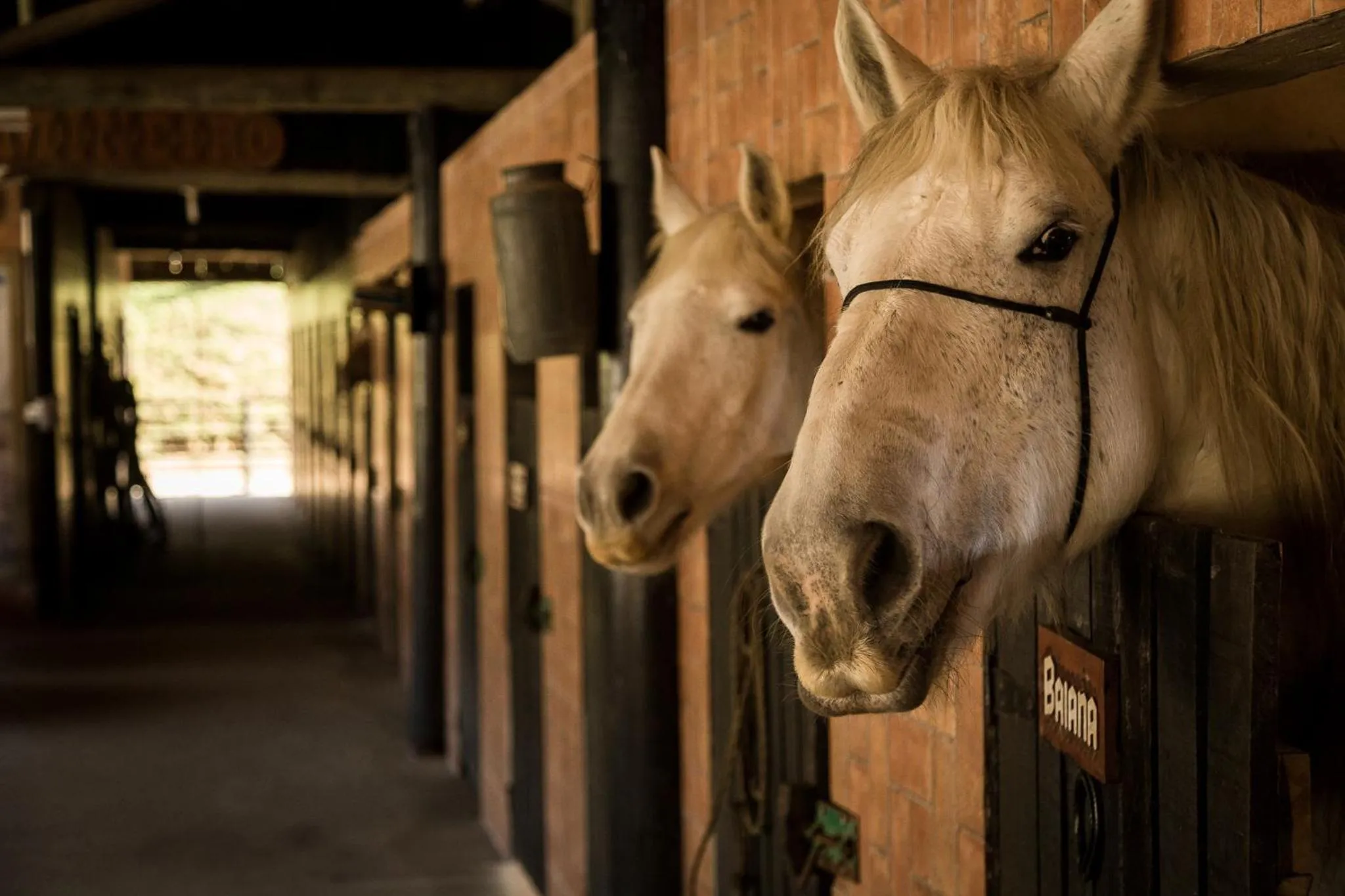 Property building in Hotel Fazenda Dona Francisca