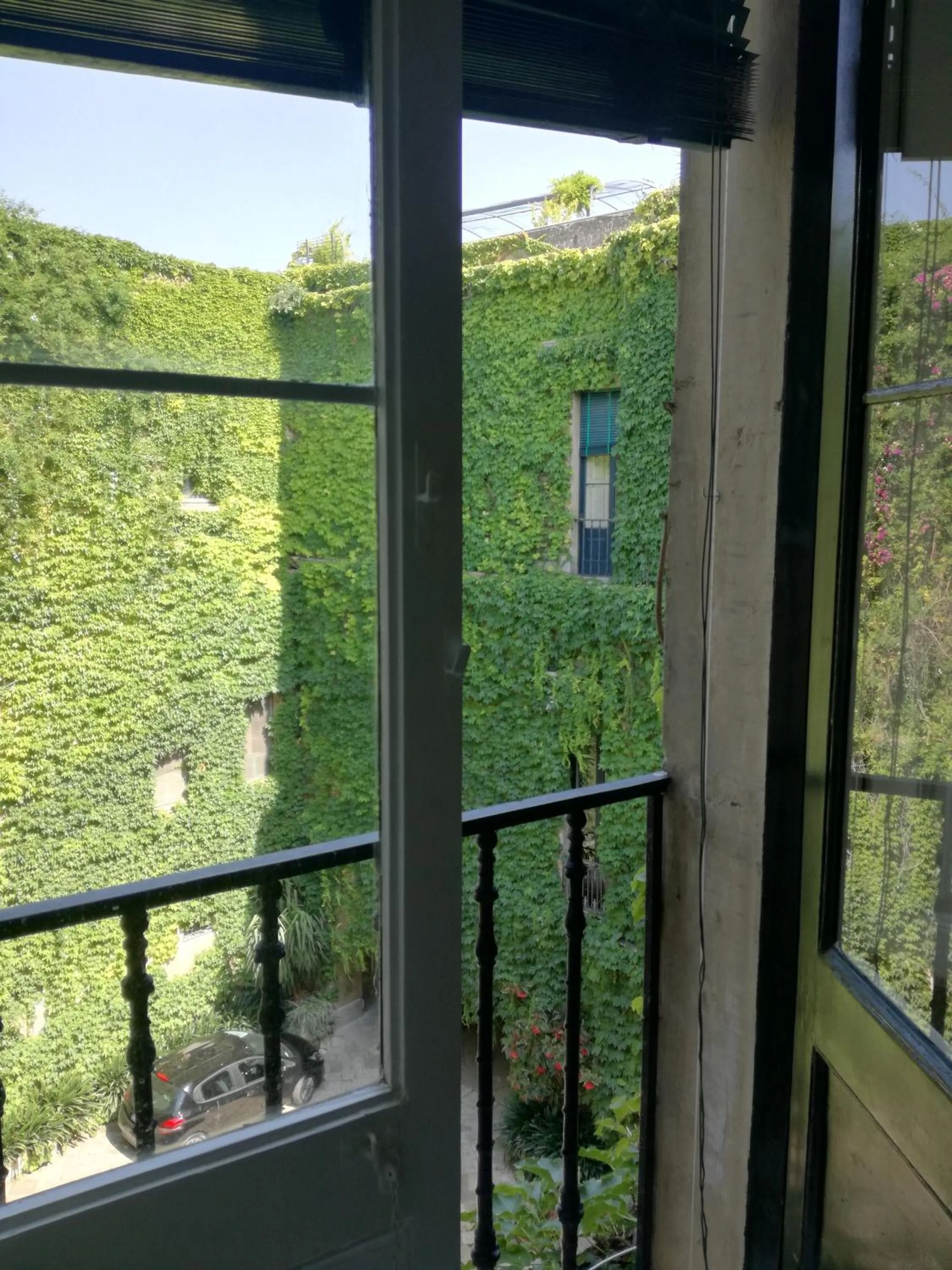 Garden view in Palazzo Rollo