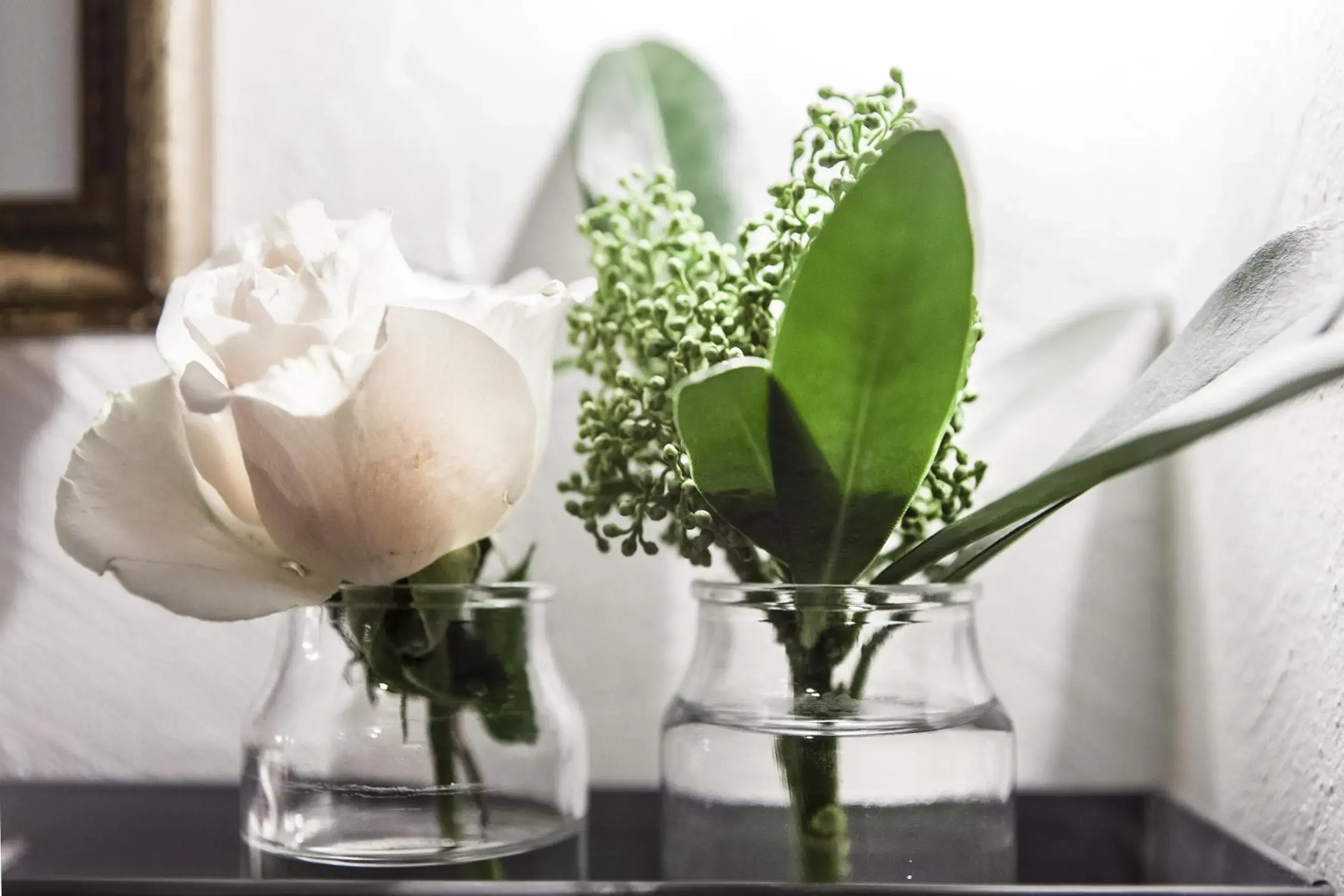 Lobby or reception in Hotel Cervetta 5 Lobby or reception in Hotel Cervetta 5