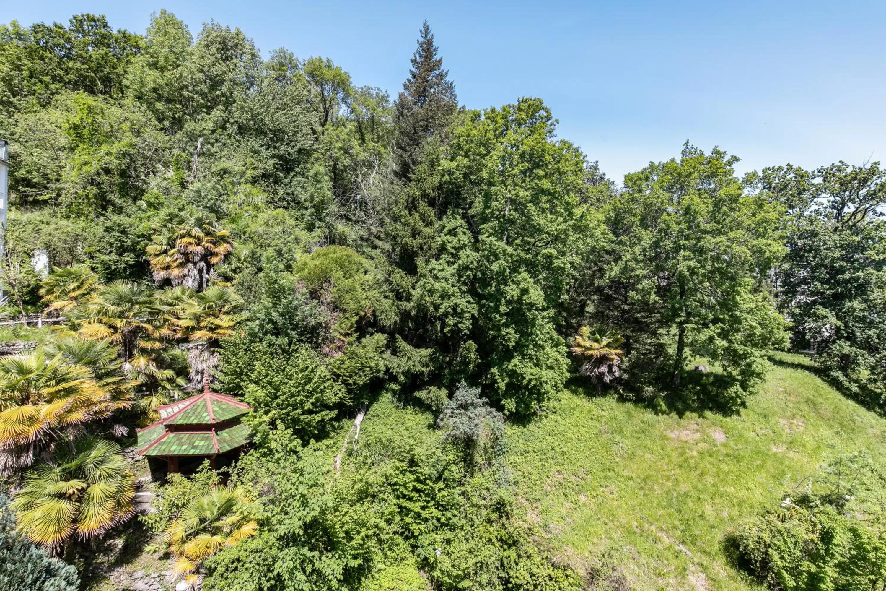 Garden view in Hôtel Miramont Garden view in Hôtel Miramont