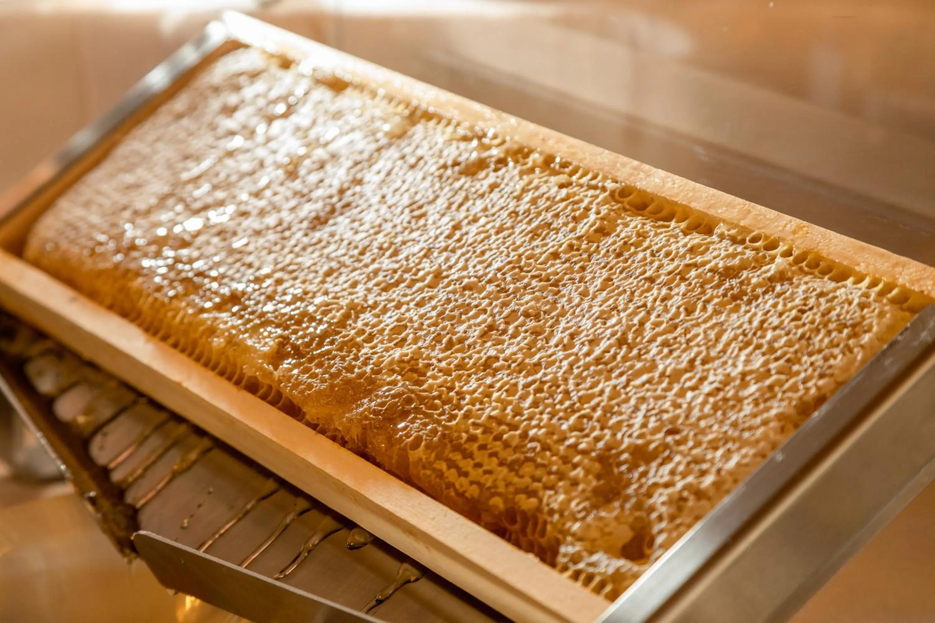 Food and drinks in Hotel Residence Panorama La Forca, GTSGroup