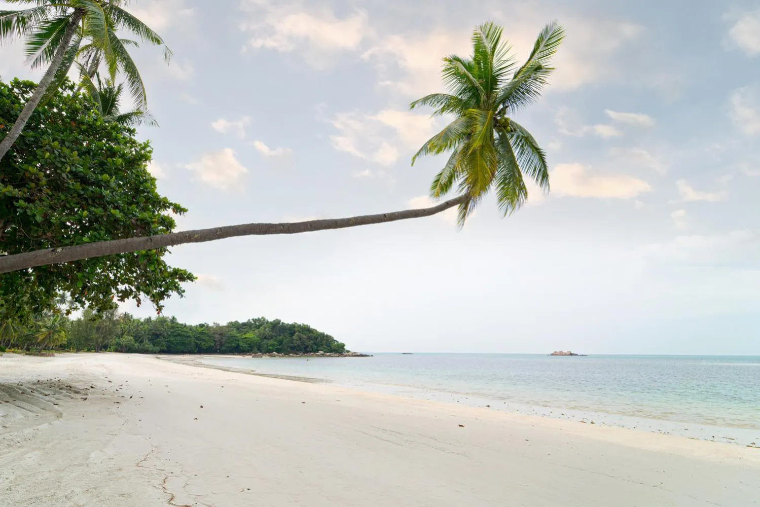 Beach in Nirwana Resort Hotel