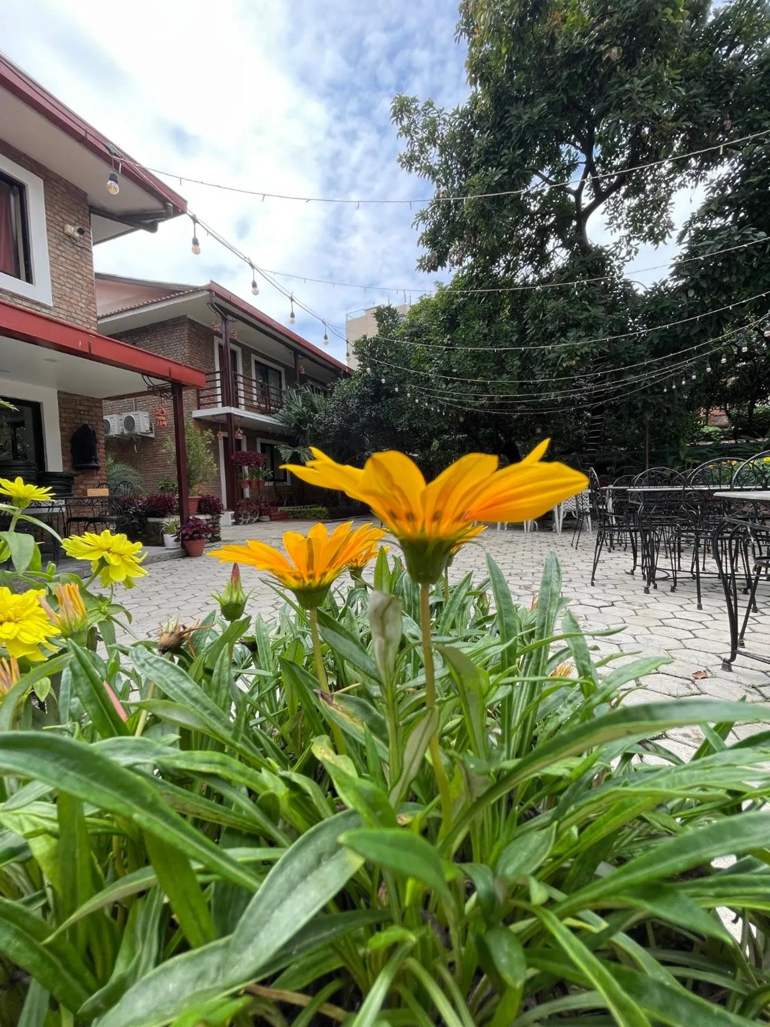 Nepal Cottage Resort