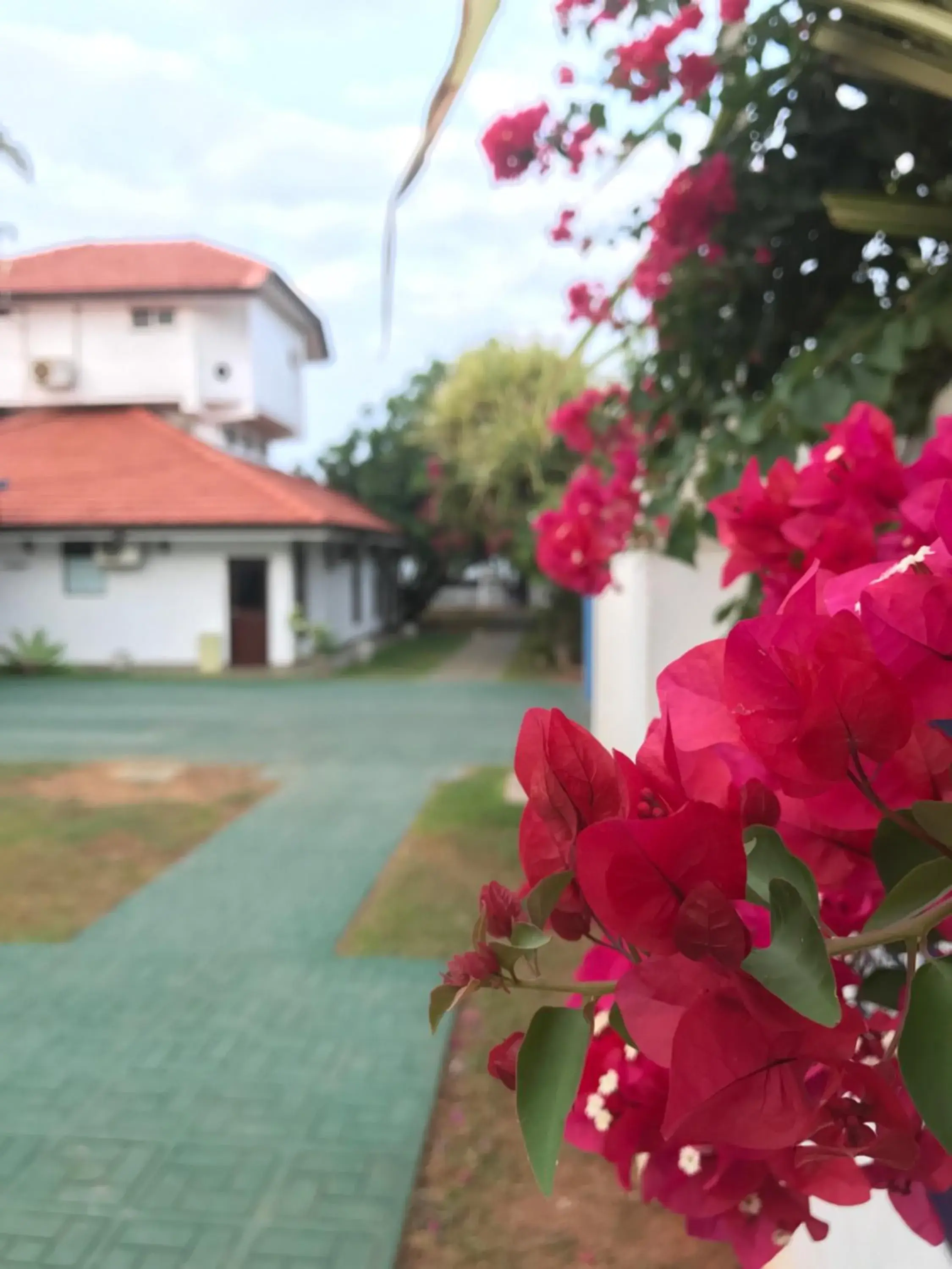 Property building in White Rose Beach Resort Property building in White Rose Beach Resort