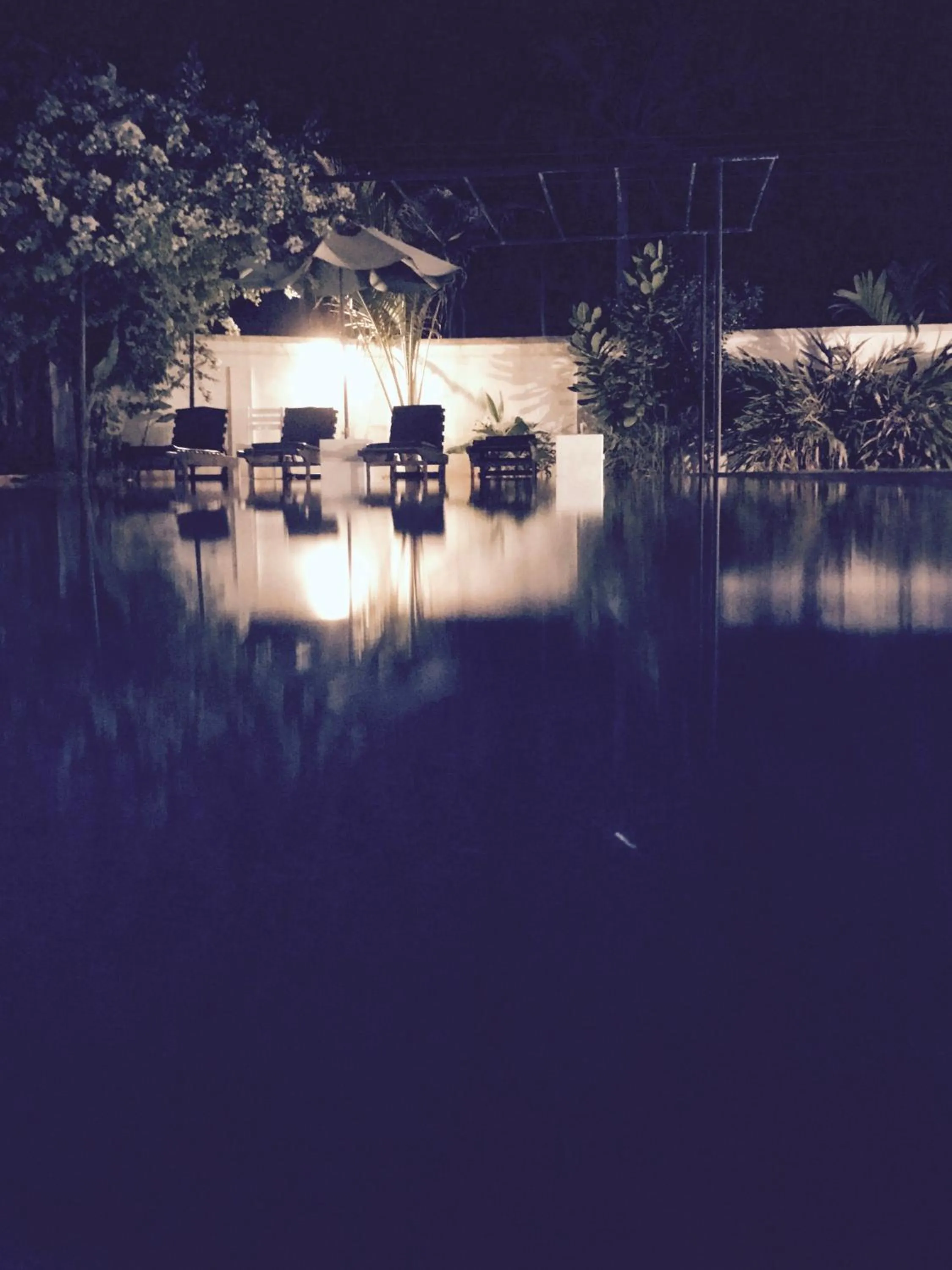 Swimming pool in White Rose Beach Resort