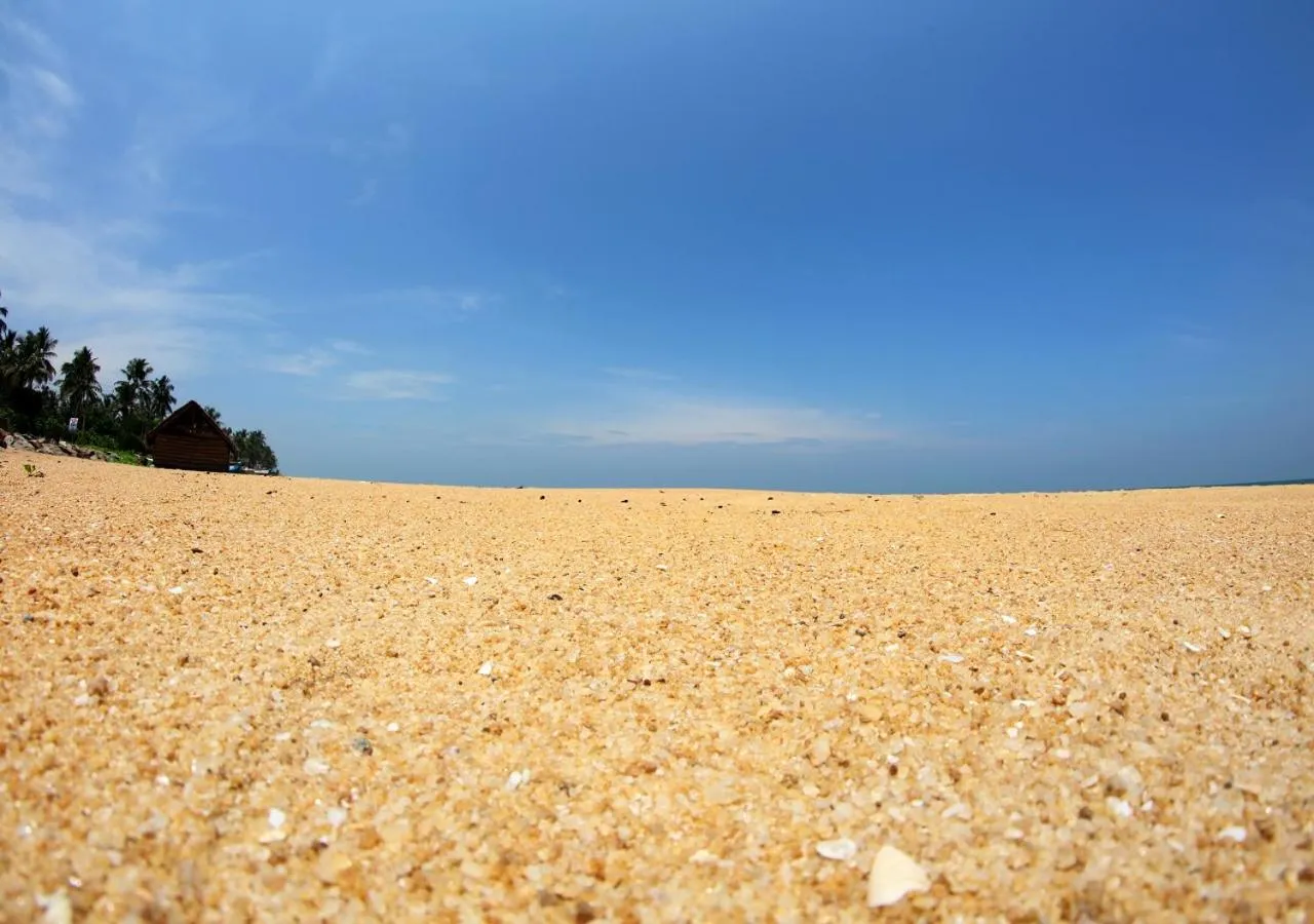 Beach in White Rose Beach Resort