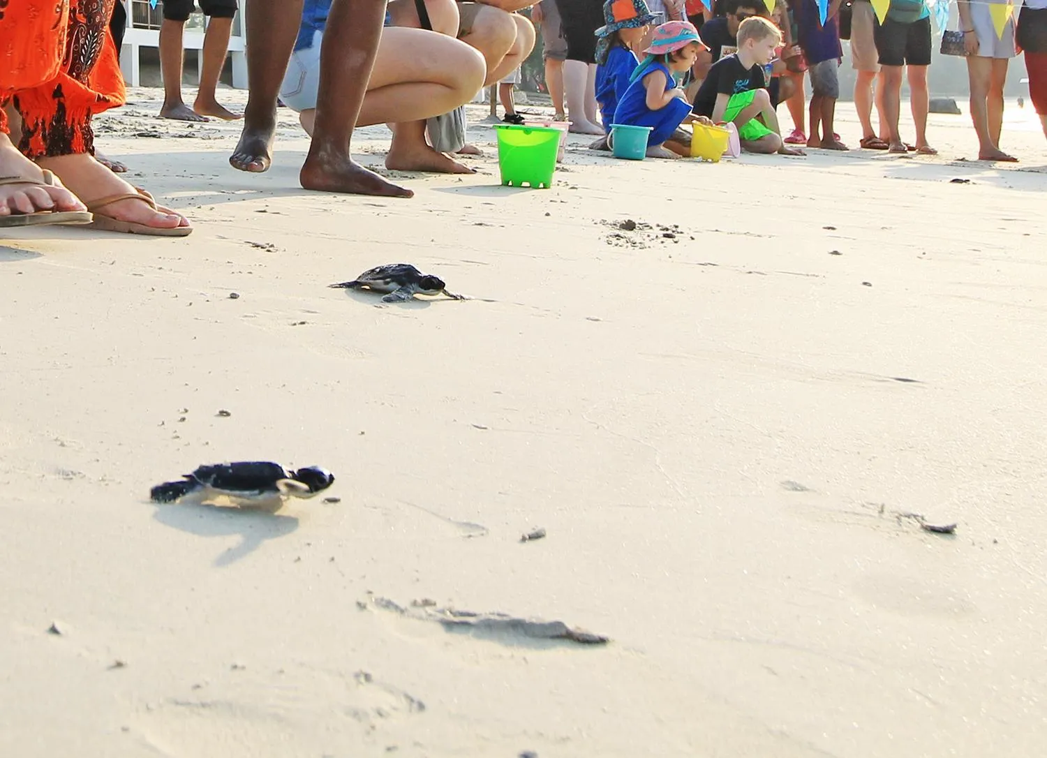 Activities in Mayang Sari Beach Resort