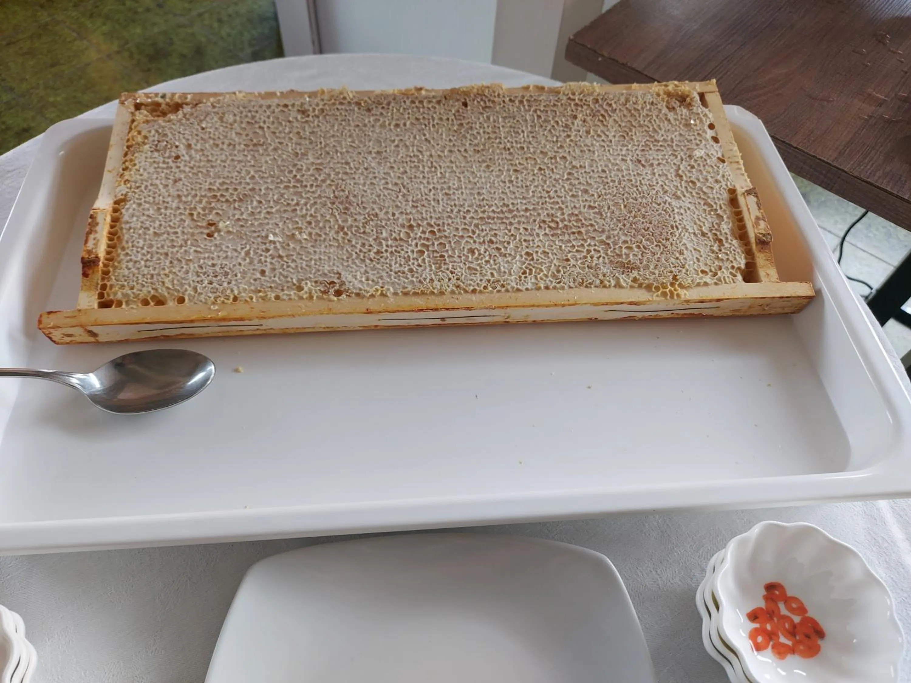 Restaurant/places to eat in Hotel Concorde