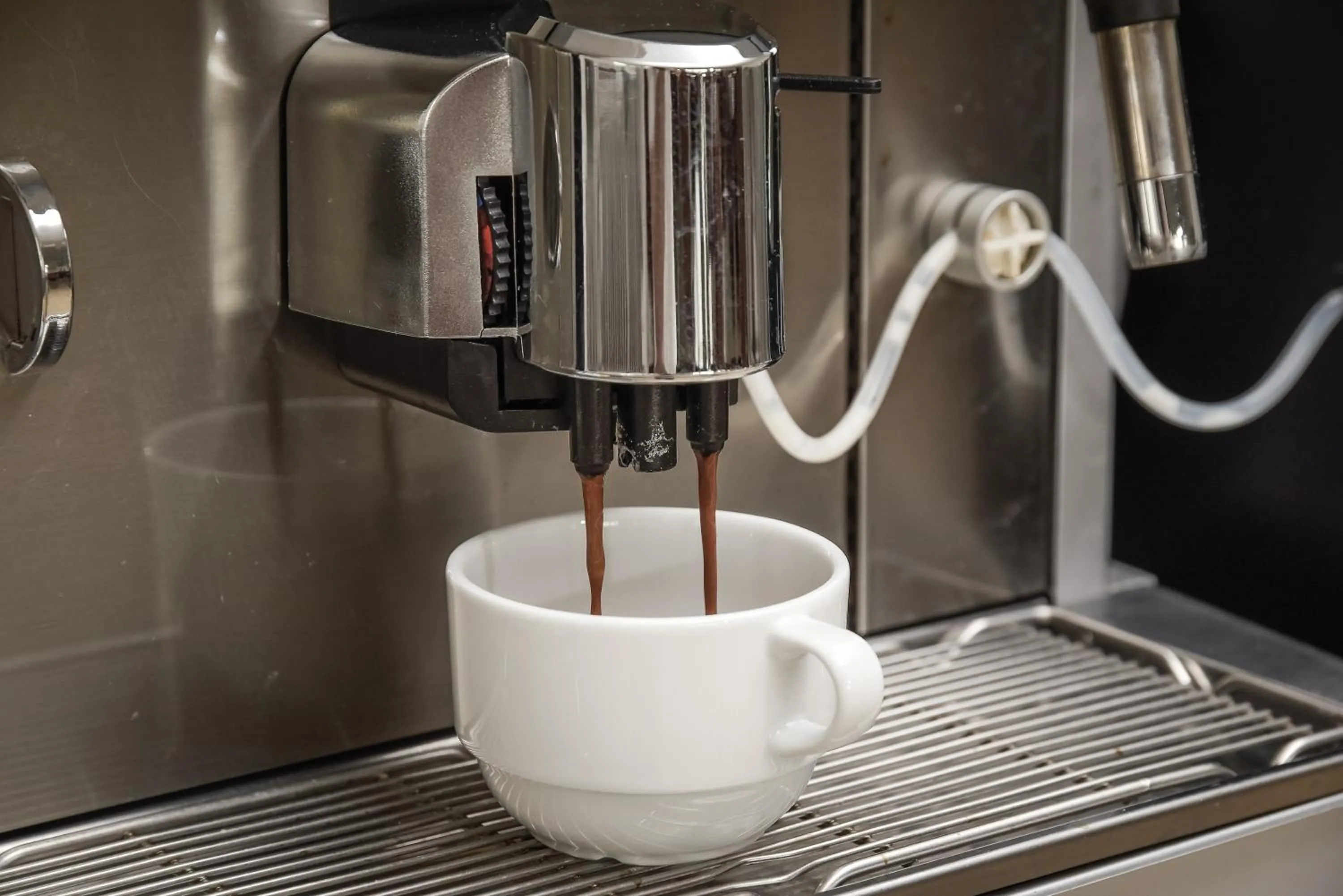 Restaurant/places to eat in Hotel Concorde