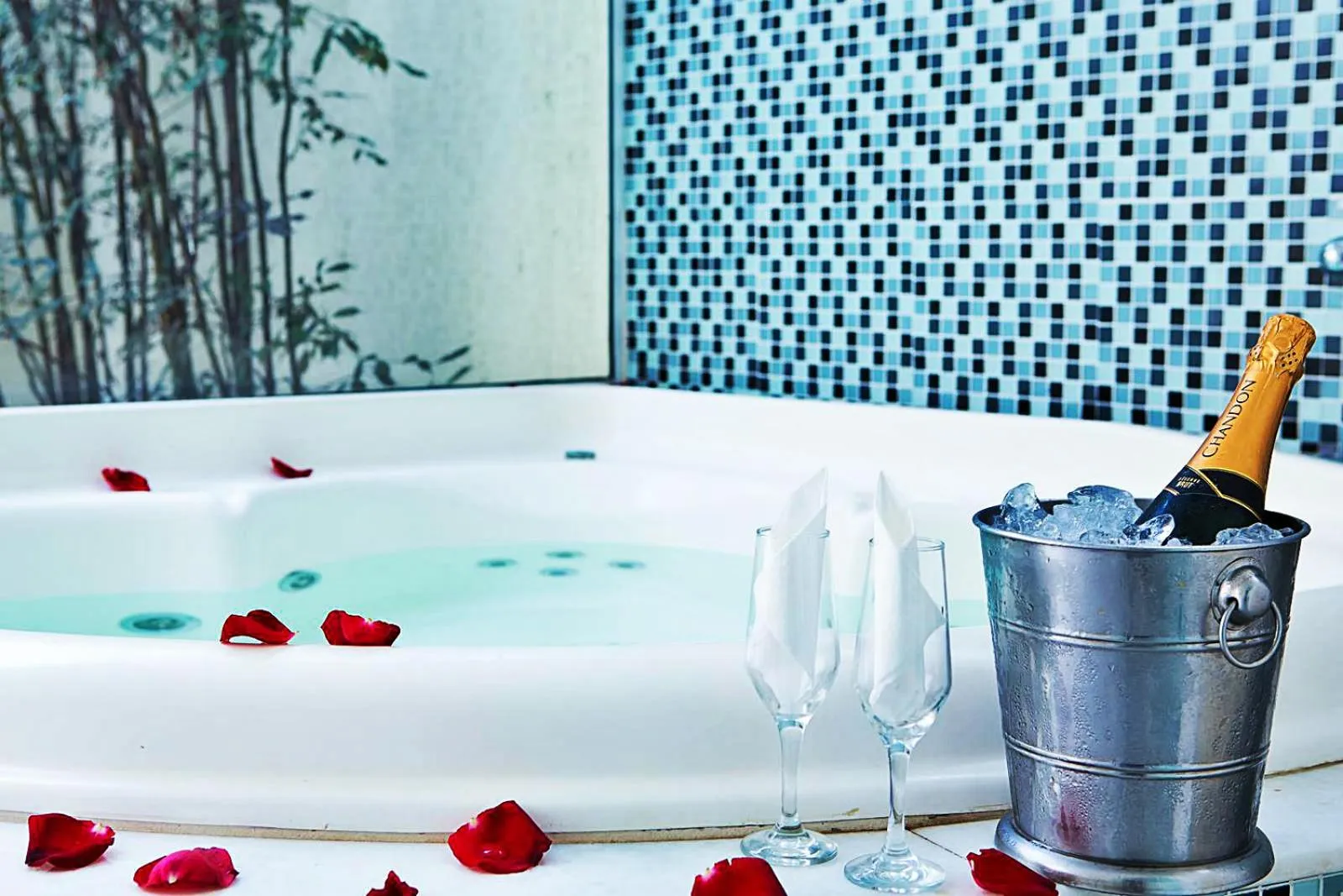 Garden in Pousada Marbella