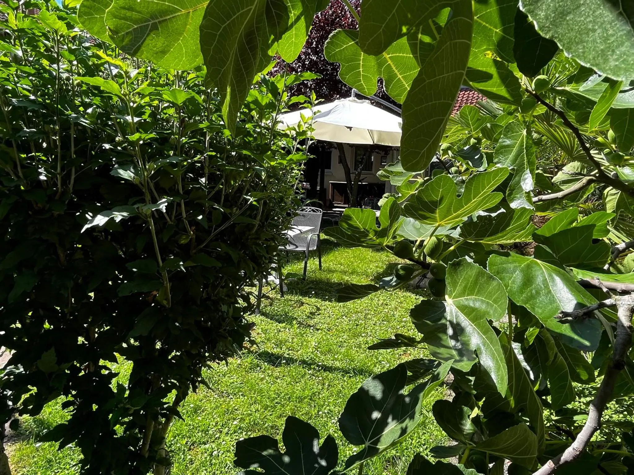 Garden in Residenz Royal