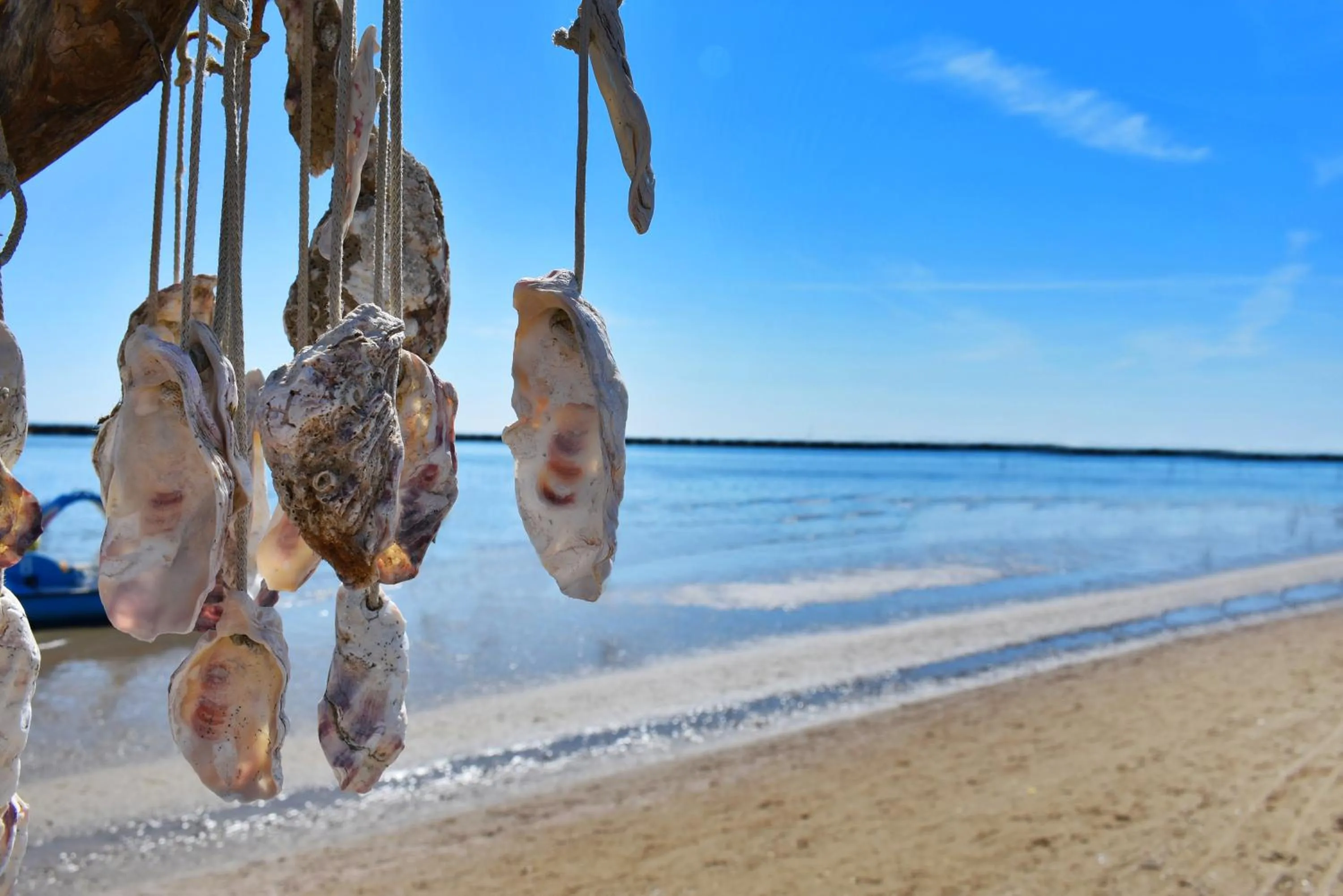 Beach in Hotel Urbinati