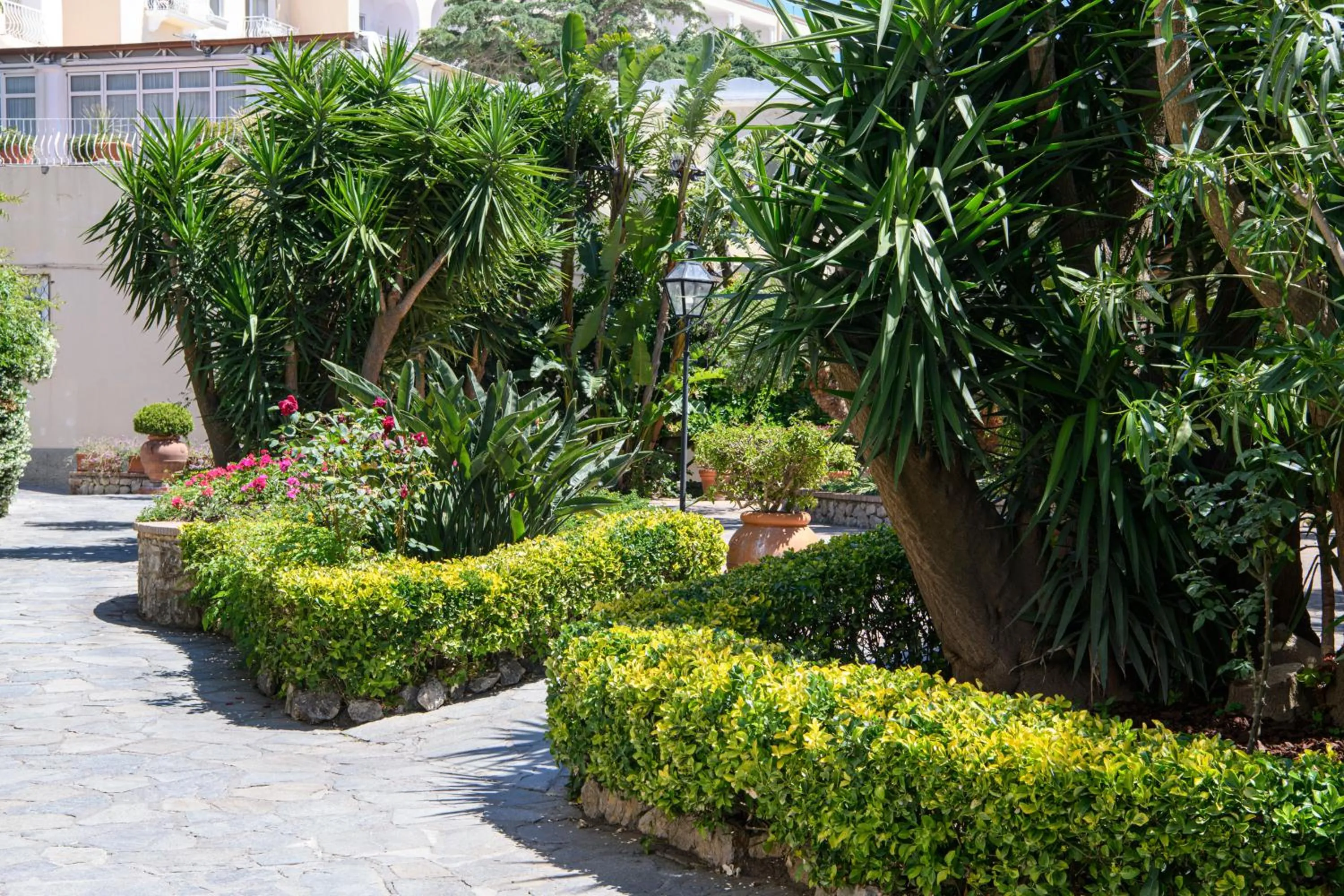 Garden in La Residenza Capri