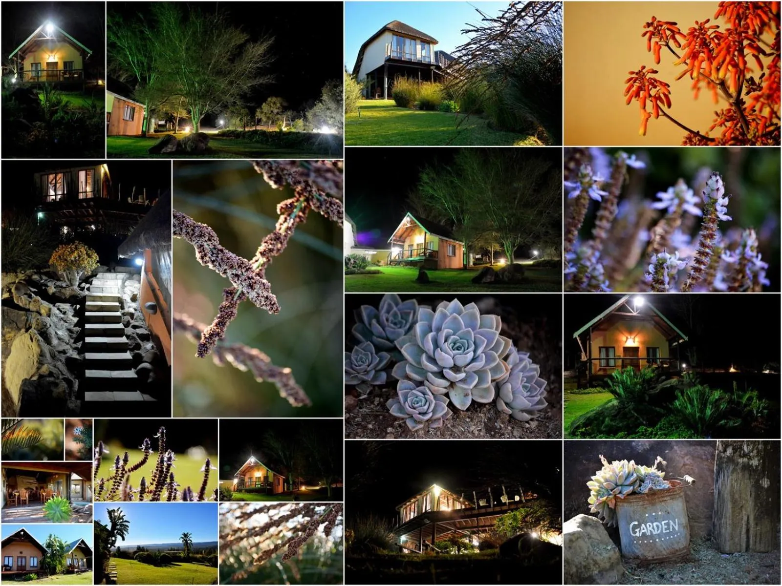 Day in Addo Dung Beetle Guest Farm