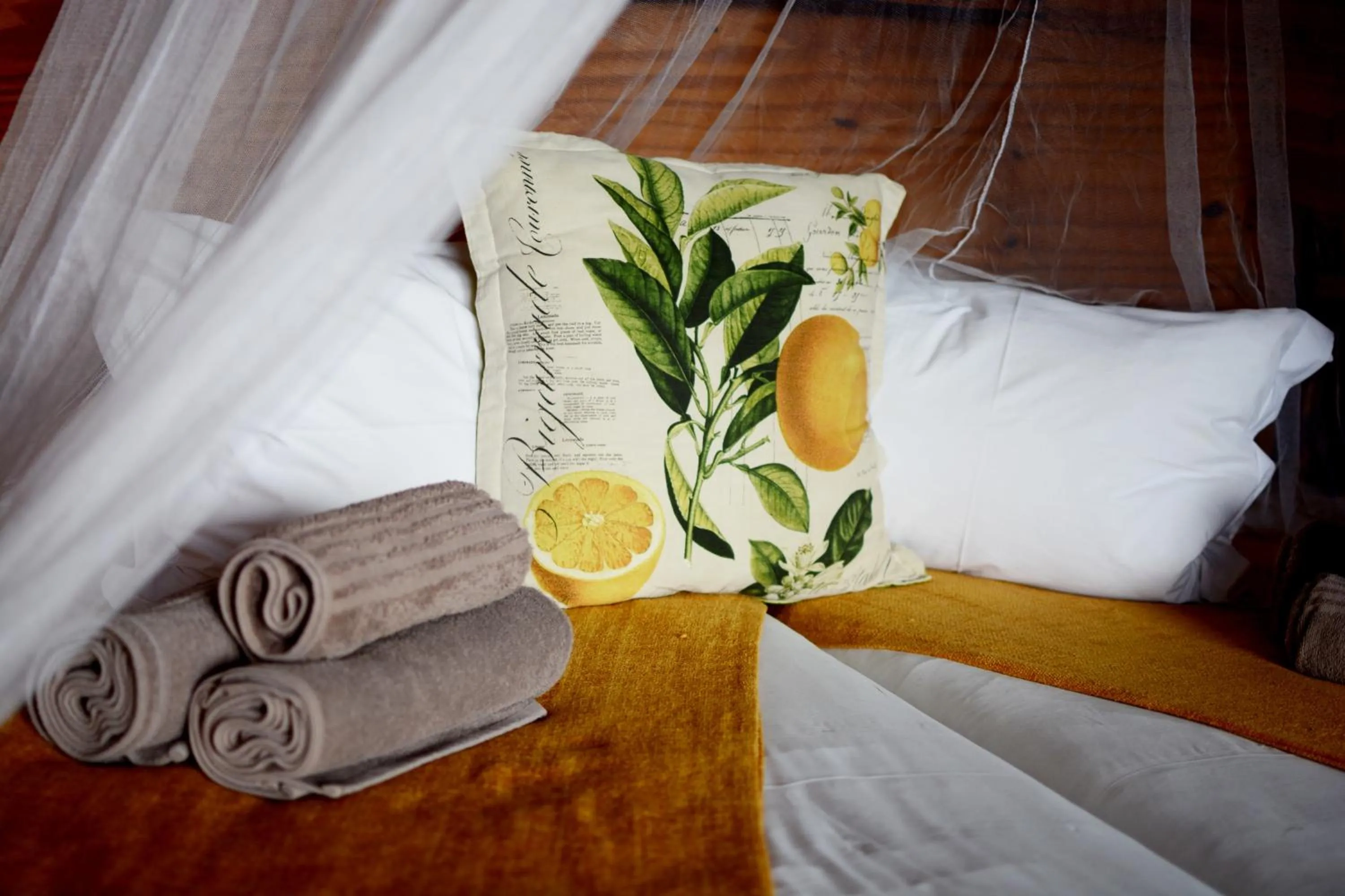 Bed in Addo Dung Beetle Guest Farm