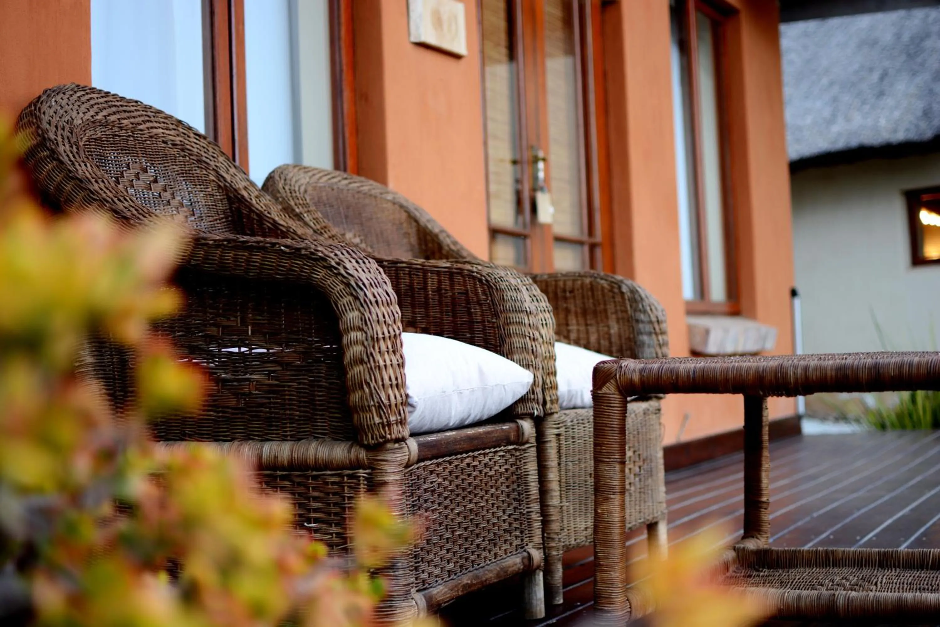 Summer in Addo Dung Beetle Guest Farm