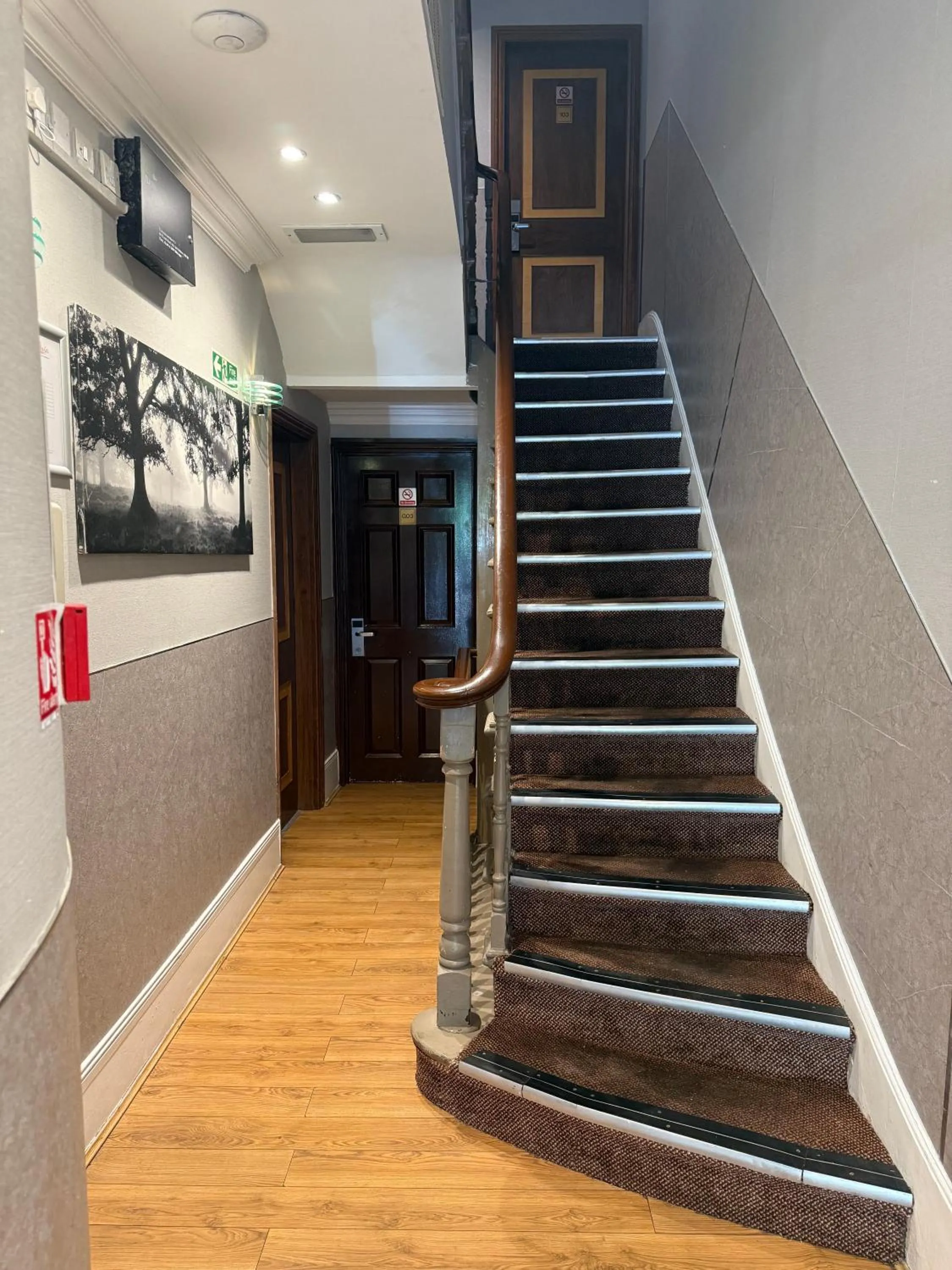 Property building in Hyde Park Suites