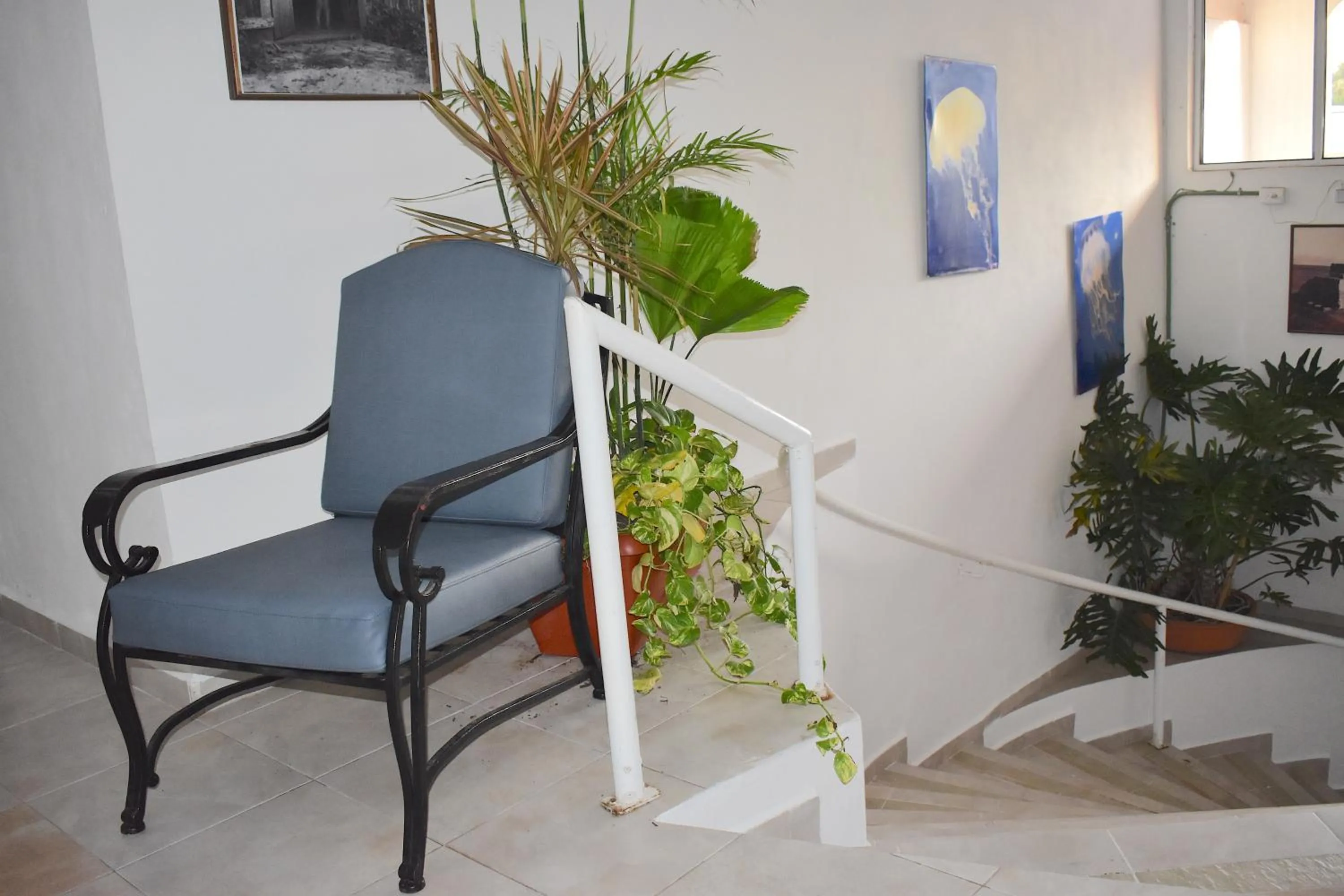 Area and facilities in Plaza Almendros Hotel Isla Mujeres