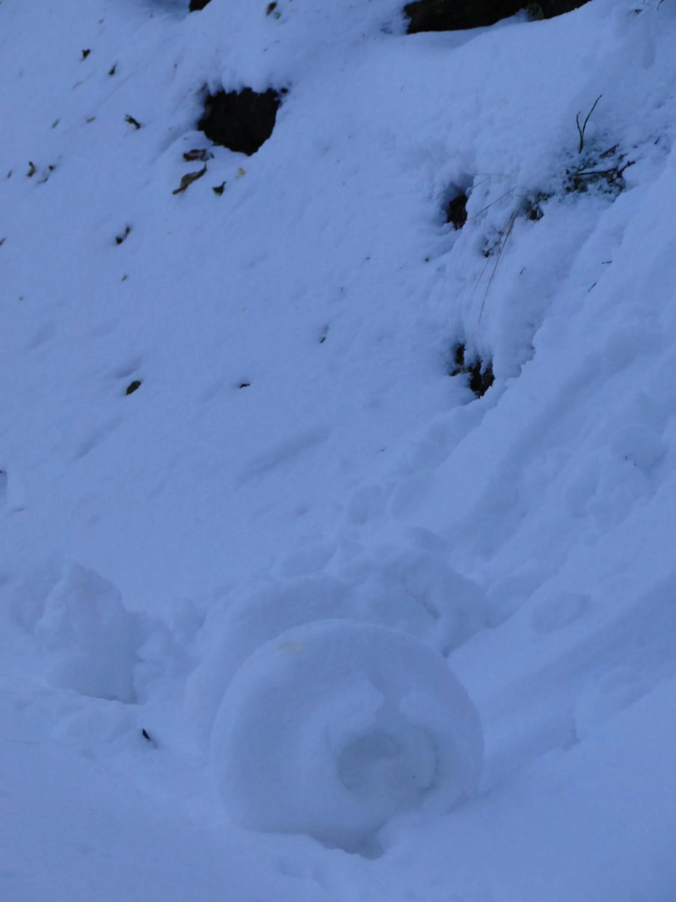 Off site in Hotel Magnes