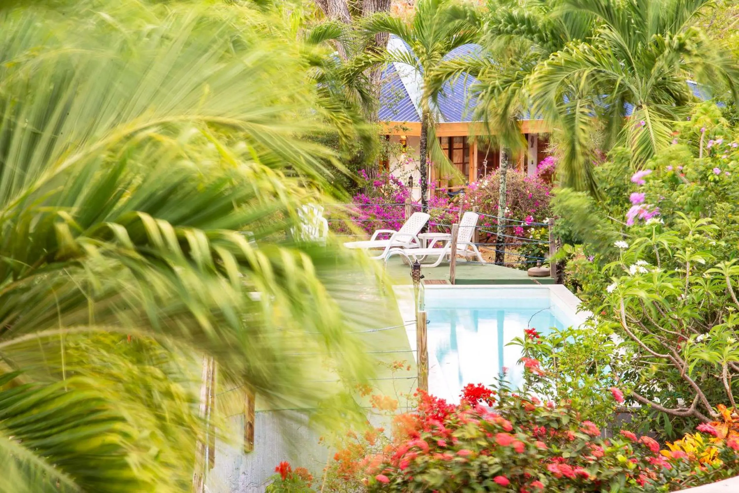 Natural landscape in Miraflores Boutique Hotel Adults Only