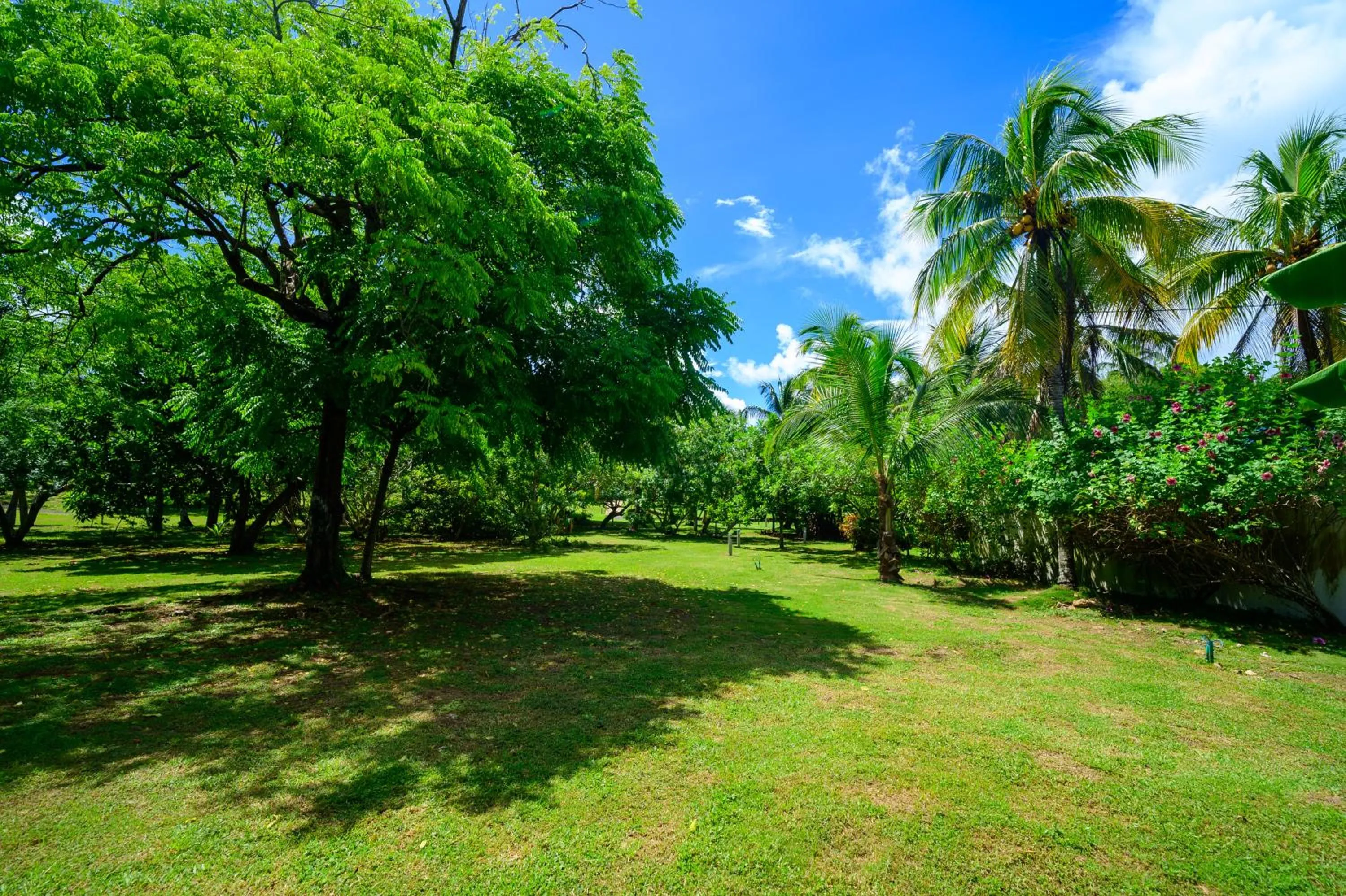 Garden view in Miraflores Boutique Hotel Adults Only