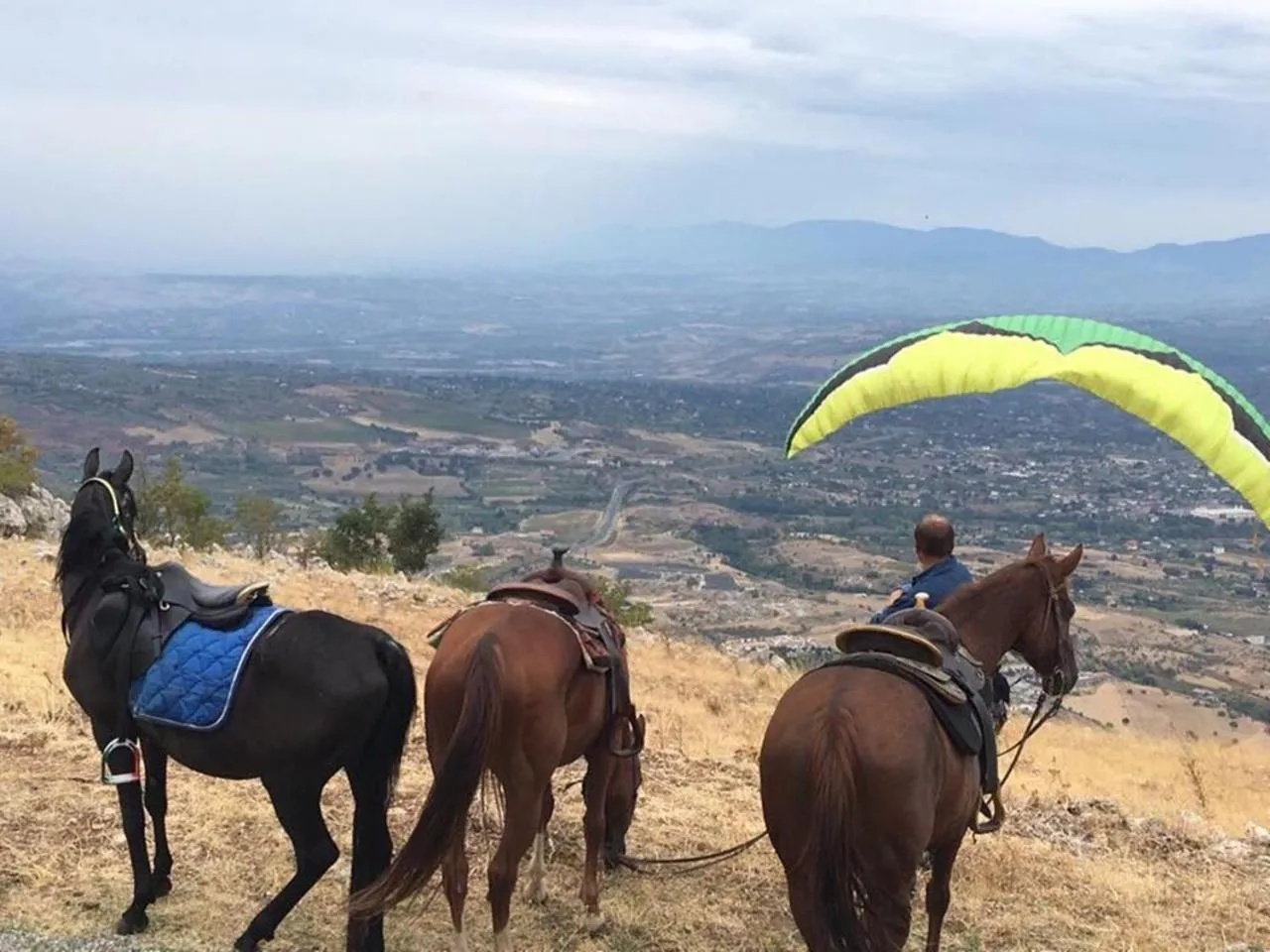 Horse-riding in Il Vicoletto