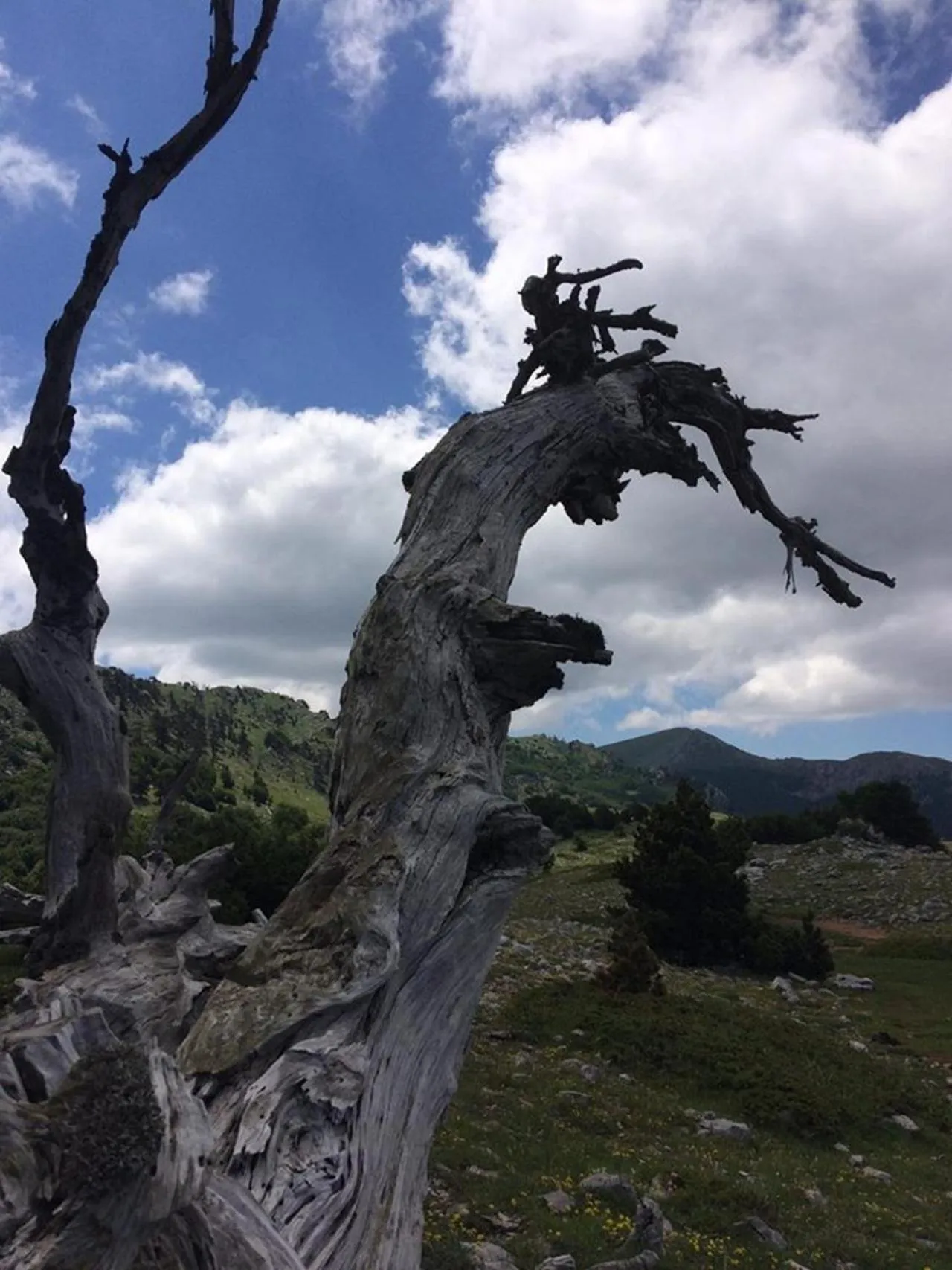 Hiking in Il Vicoletto