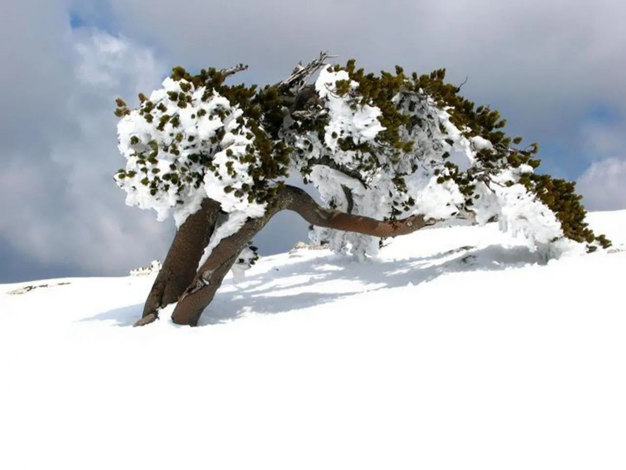 Hiking in Il Vicoletto