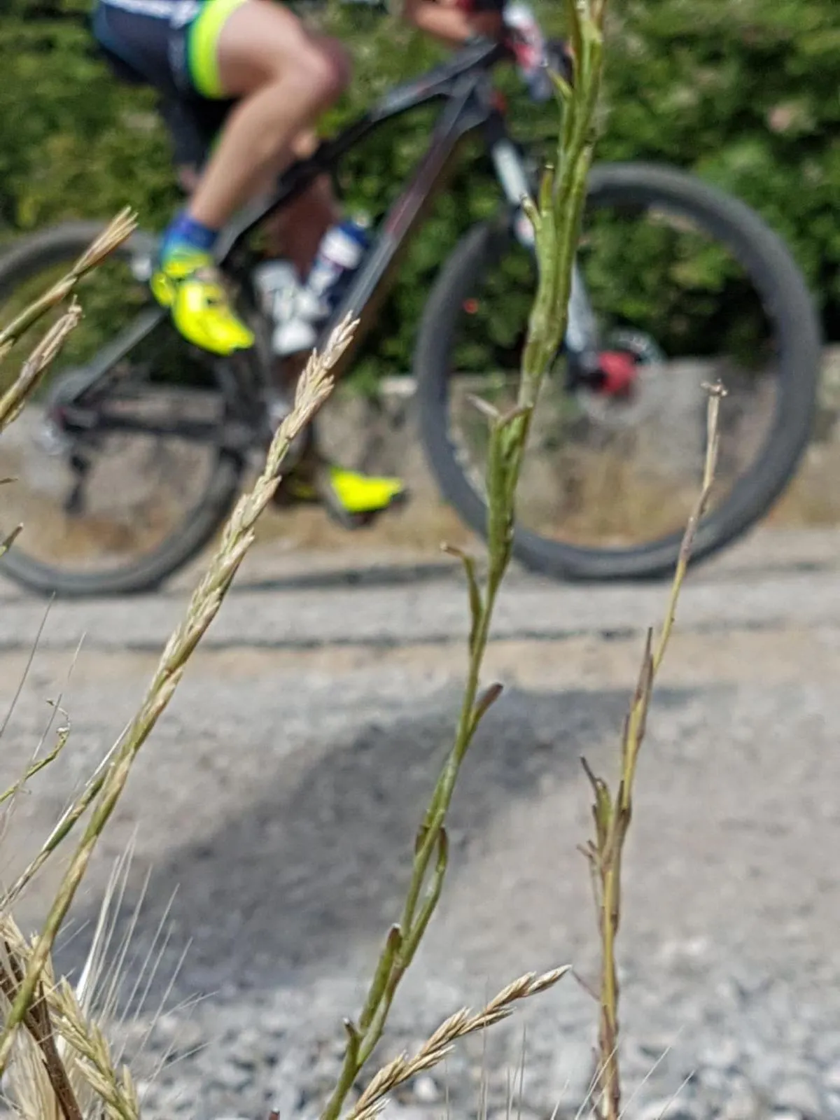 Natural landscape in Il Vicoletto