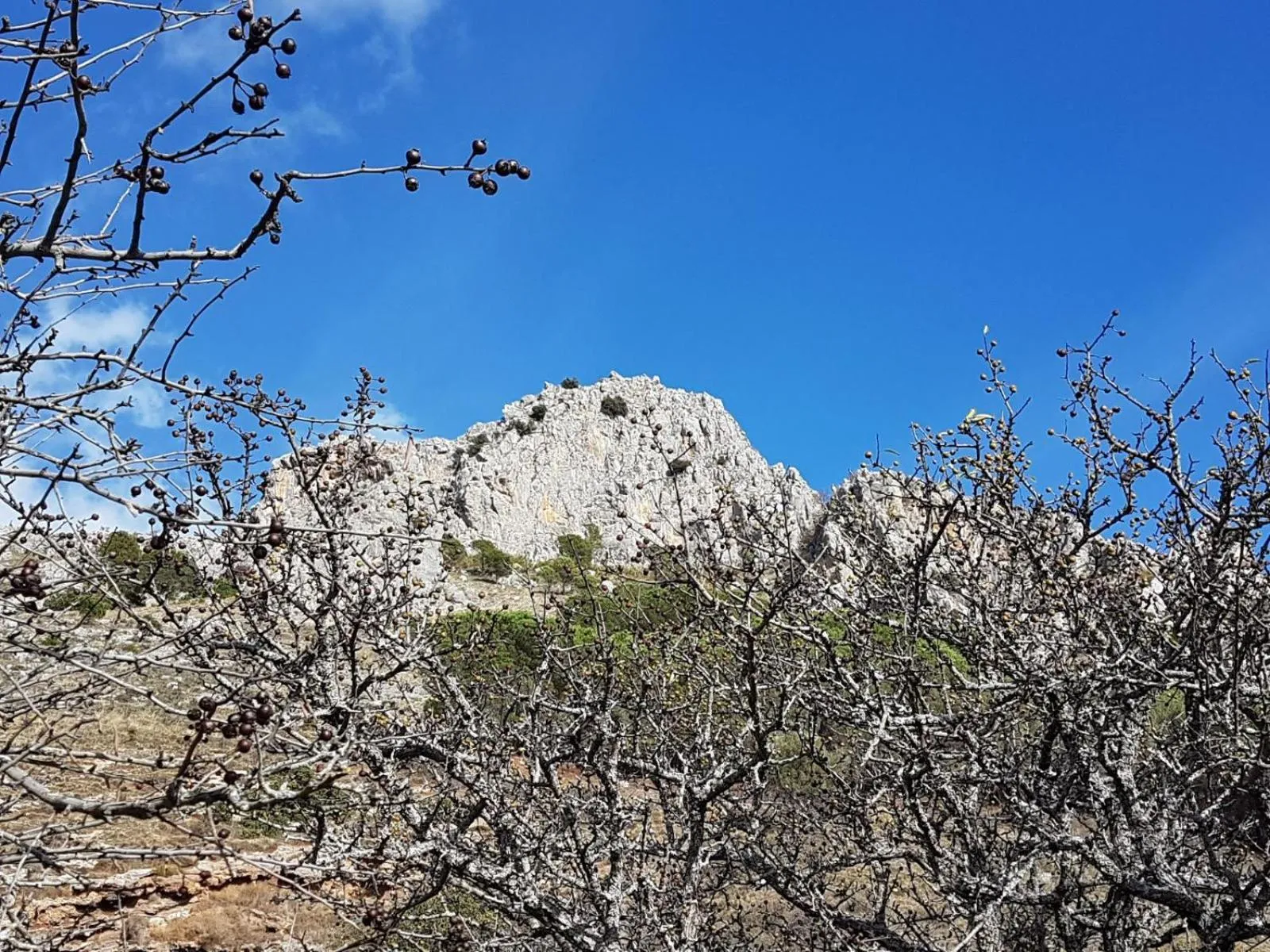 Mountain view in Il Vicoletto