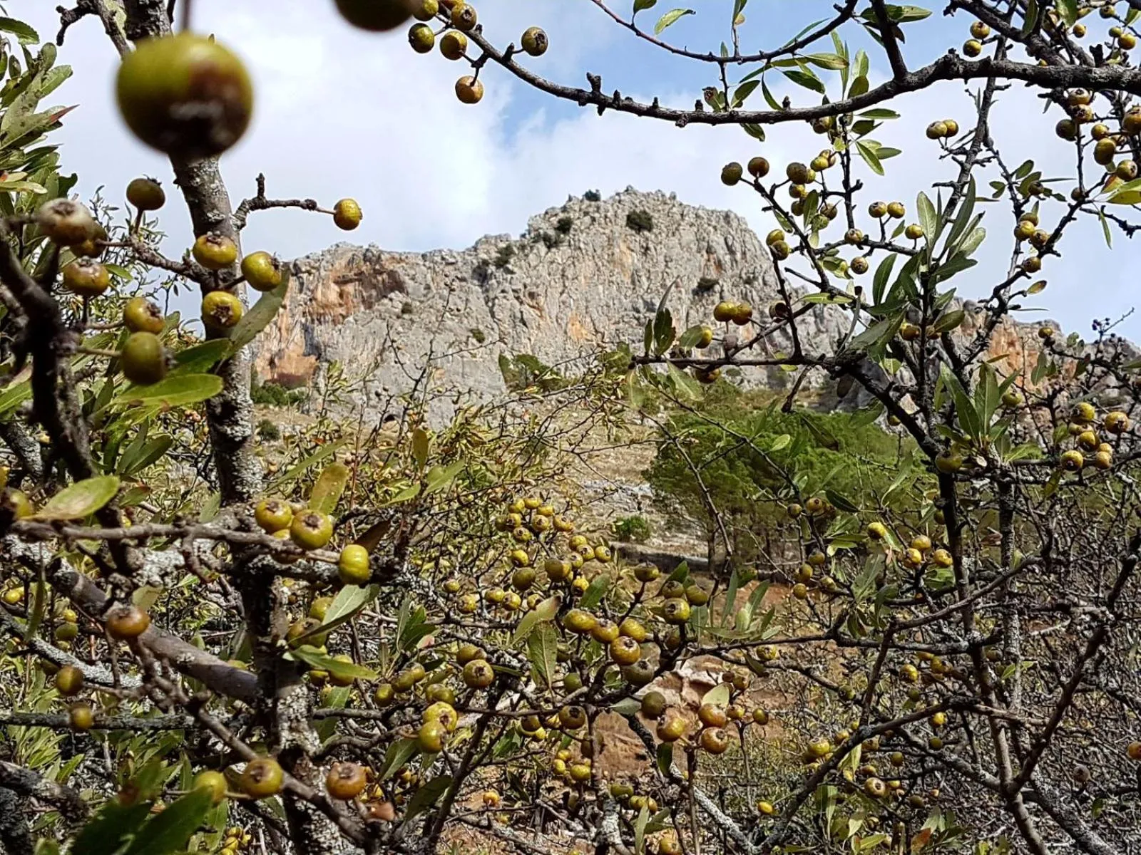 Natural landscape in Il Vicoletto
